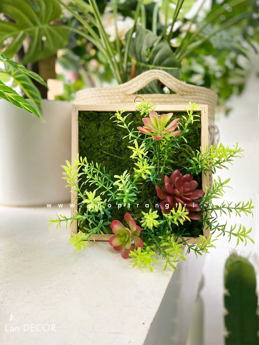 KHUNG TRANH RÊU SEN ĐÁ LAN DECOR - KTR06(20x20) Tổng Kho Sỉ Cây Giả ...