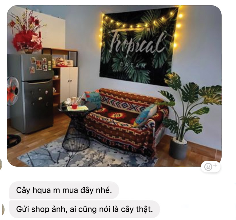 Cây lá xẻ cây monstera trang trí không gian hiện đại (120cm) - LC3024