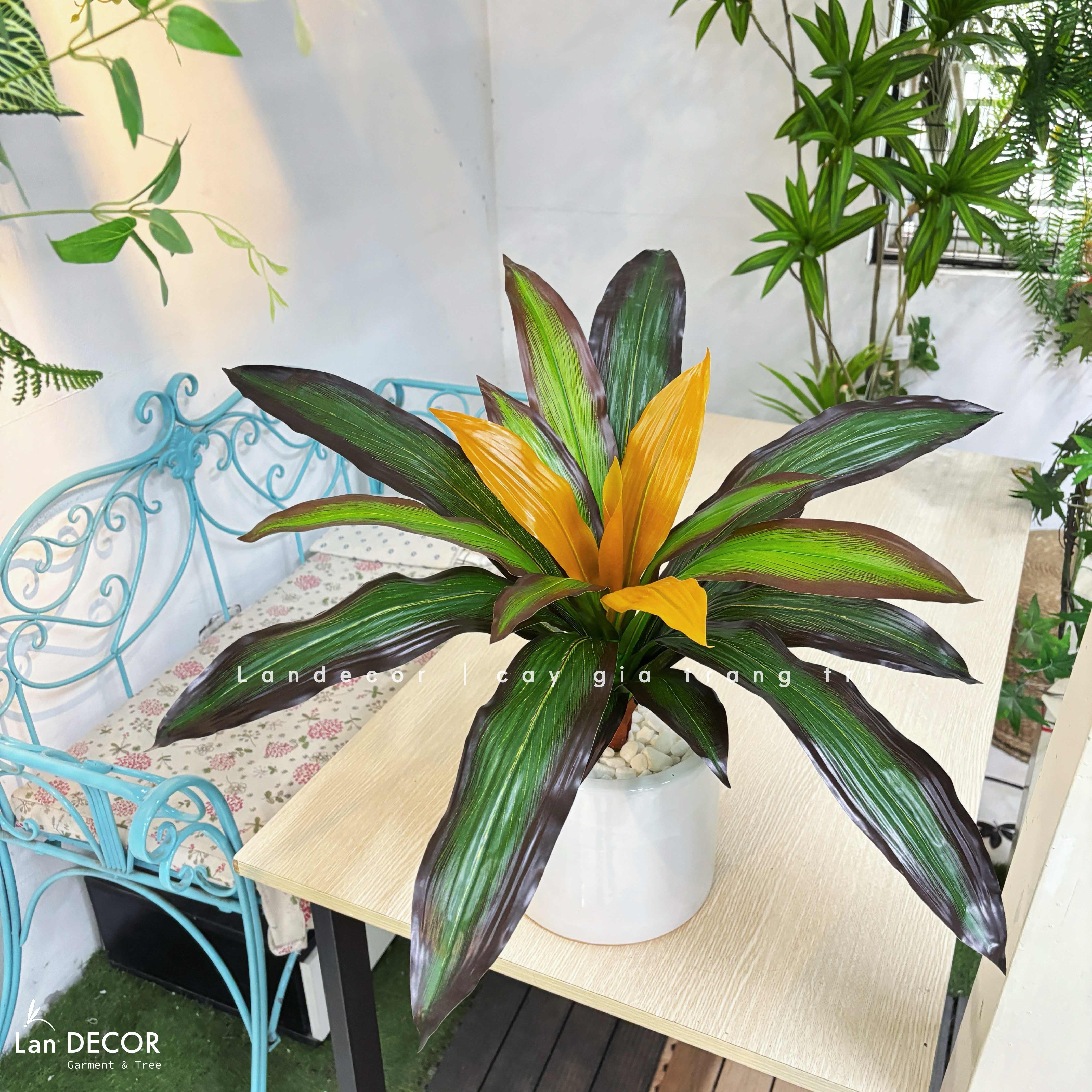 Cây Giả Trang Trí- Cây Tài Lộc Giả Để Bàn Decor Không Gian Nổi Bật (45cm)- LC3427