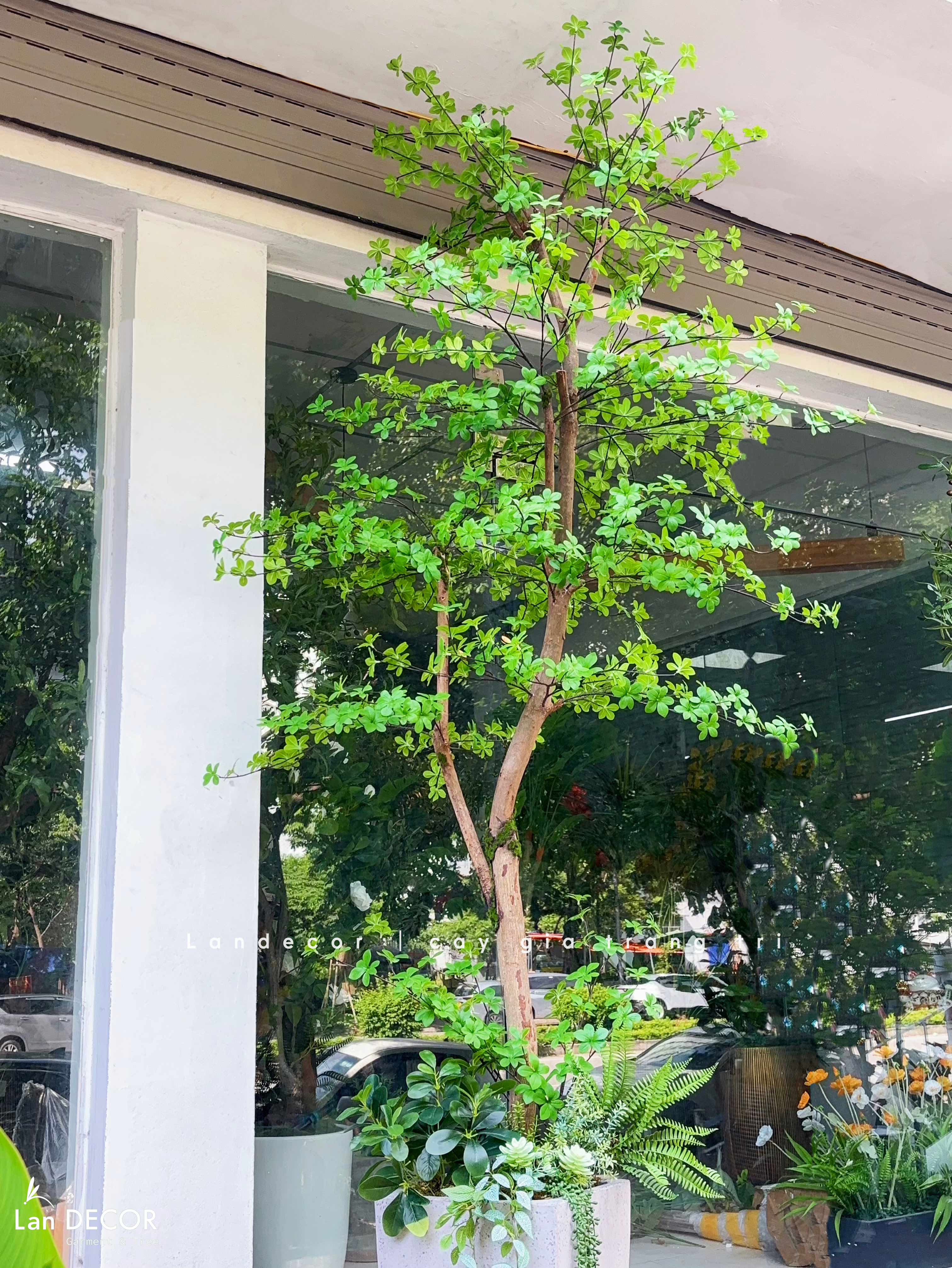 Cây Giả Thiết Kế- Cây Thạch Nam Giả Thiết Kế Nội Thất Xanh Hiện Đại (270cm)- CC1379