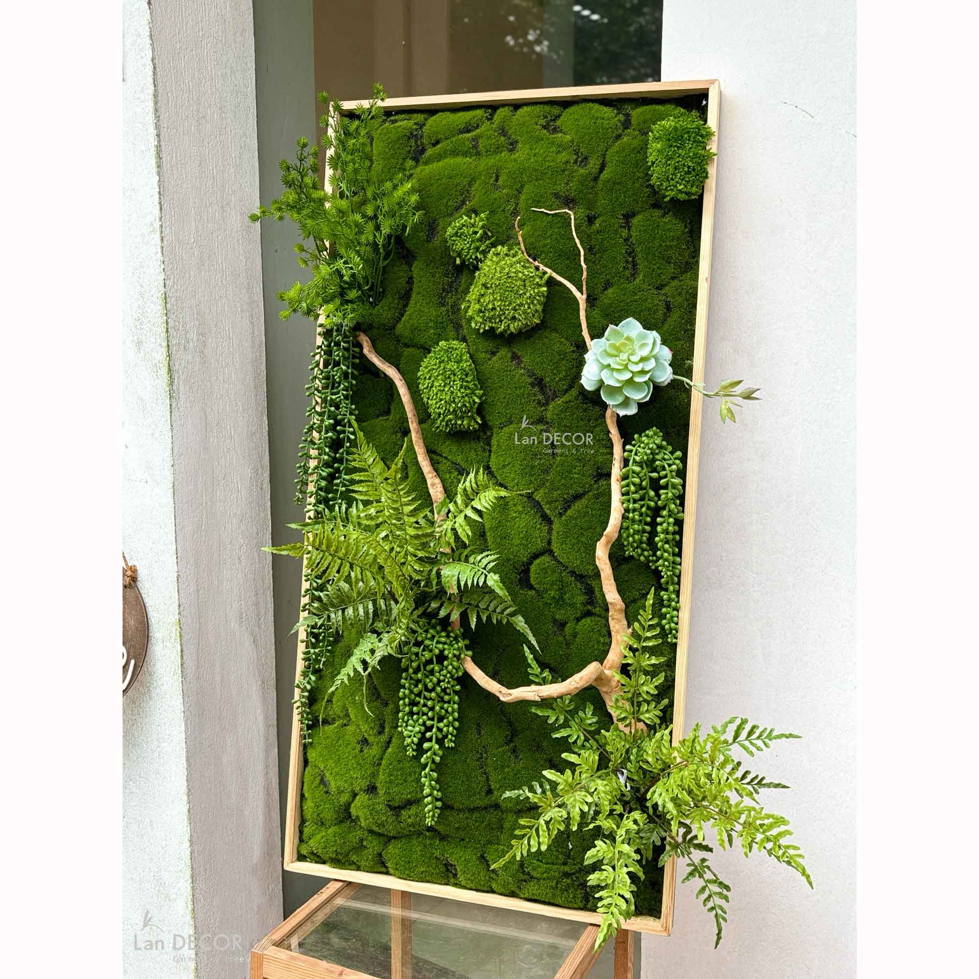 Tranh Rêu Thiết Kế - Tranh Rêu Sen Đá Giả Treo Tường Decor Cửa Hiệu (50x100cm)- KTR(50x100)-4