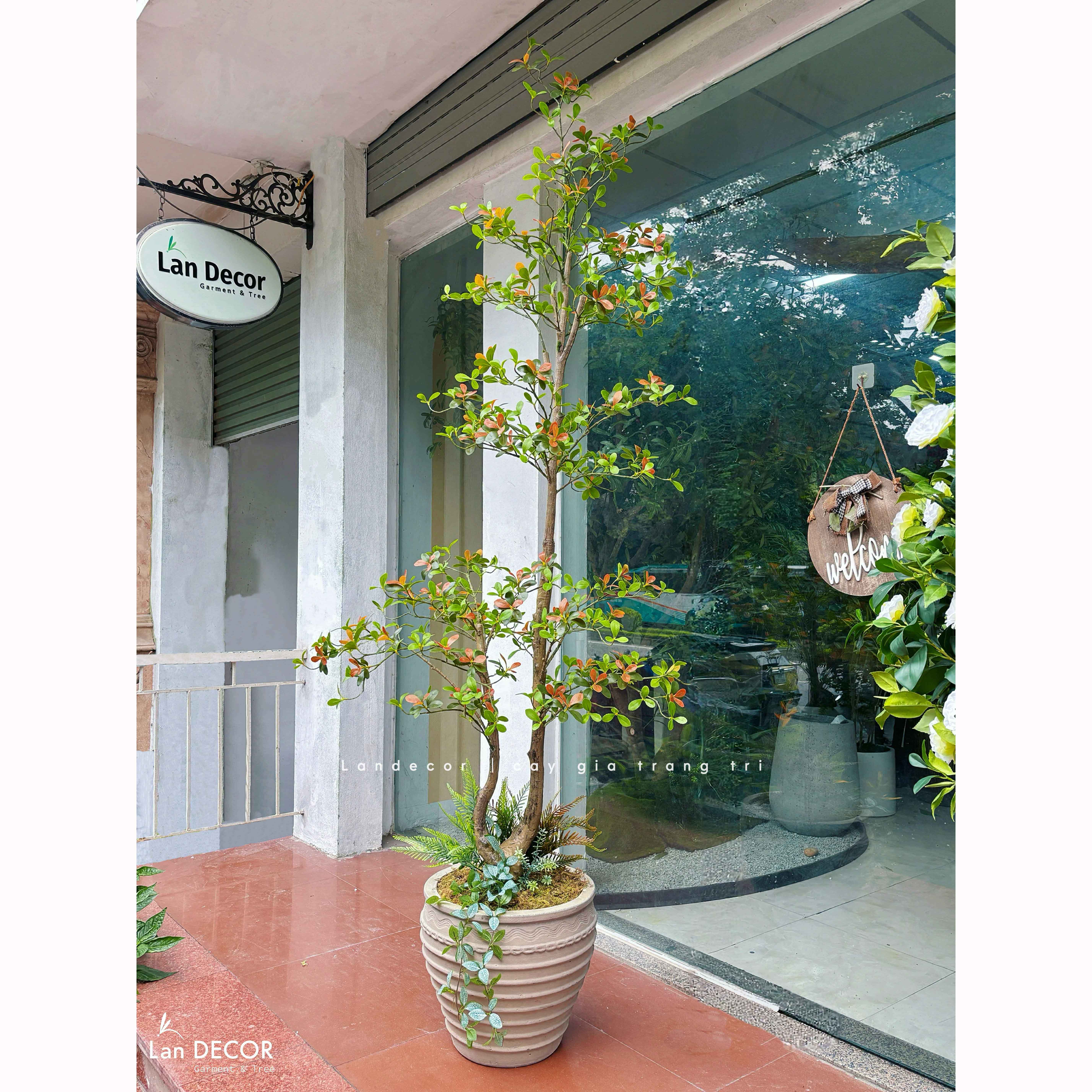 Cây Giả Thiết Kế- Cây Cành Cổ 3 Lá Độc Đáo, Thiết Kế Không Gian Hiện Đại (230cm)- CC1354
