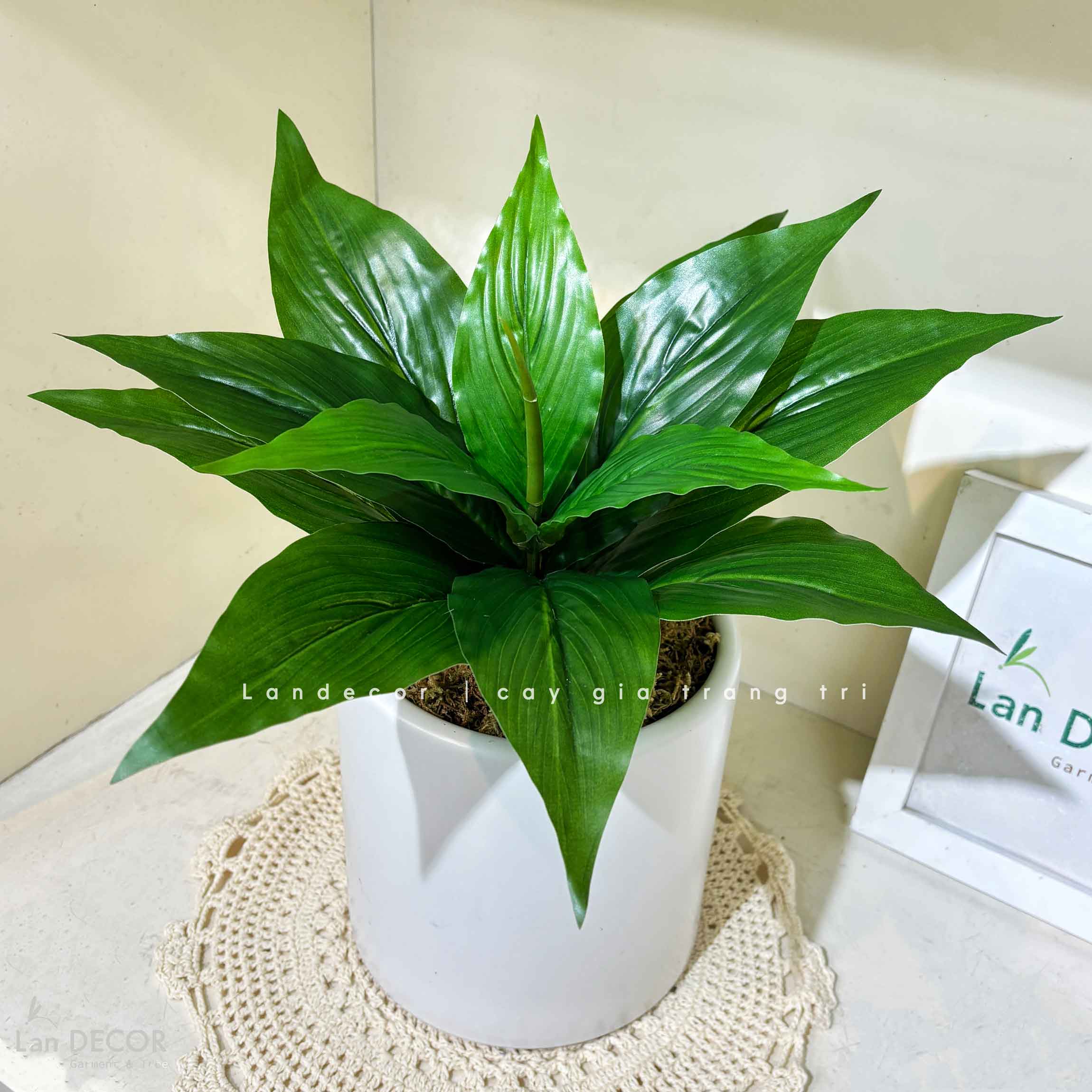 Cây Giả Decor- Cây Lá Lan Giả Để Bàn Trang Trí (40cm)- CC1471