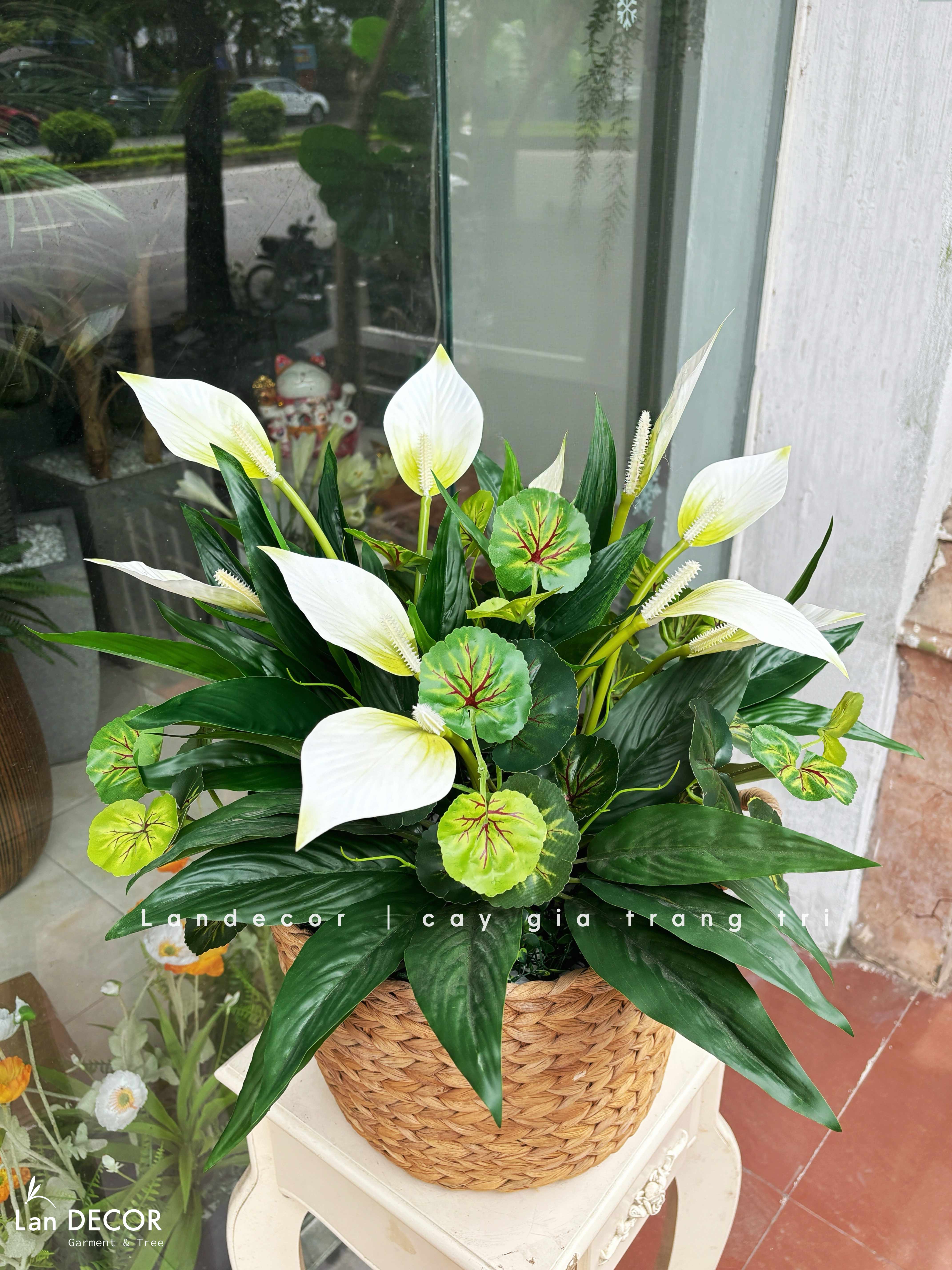 Giỏ Cây Giả Decor- Giỏ Hoa Lan Ý Trắng Thiết Kế Tiểu Cảnh Cửa Hiệu (60cm)- CC1351