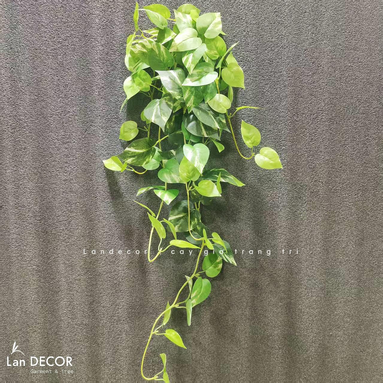 Cành Vạn Niên Rủ Giả Decor Tiểu Cảnh (90cm) - HC1392-loang
