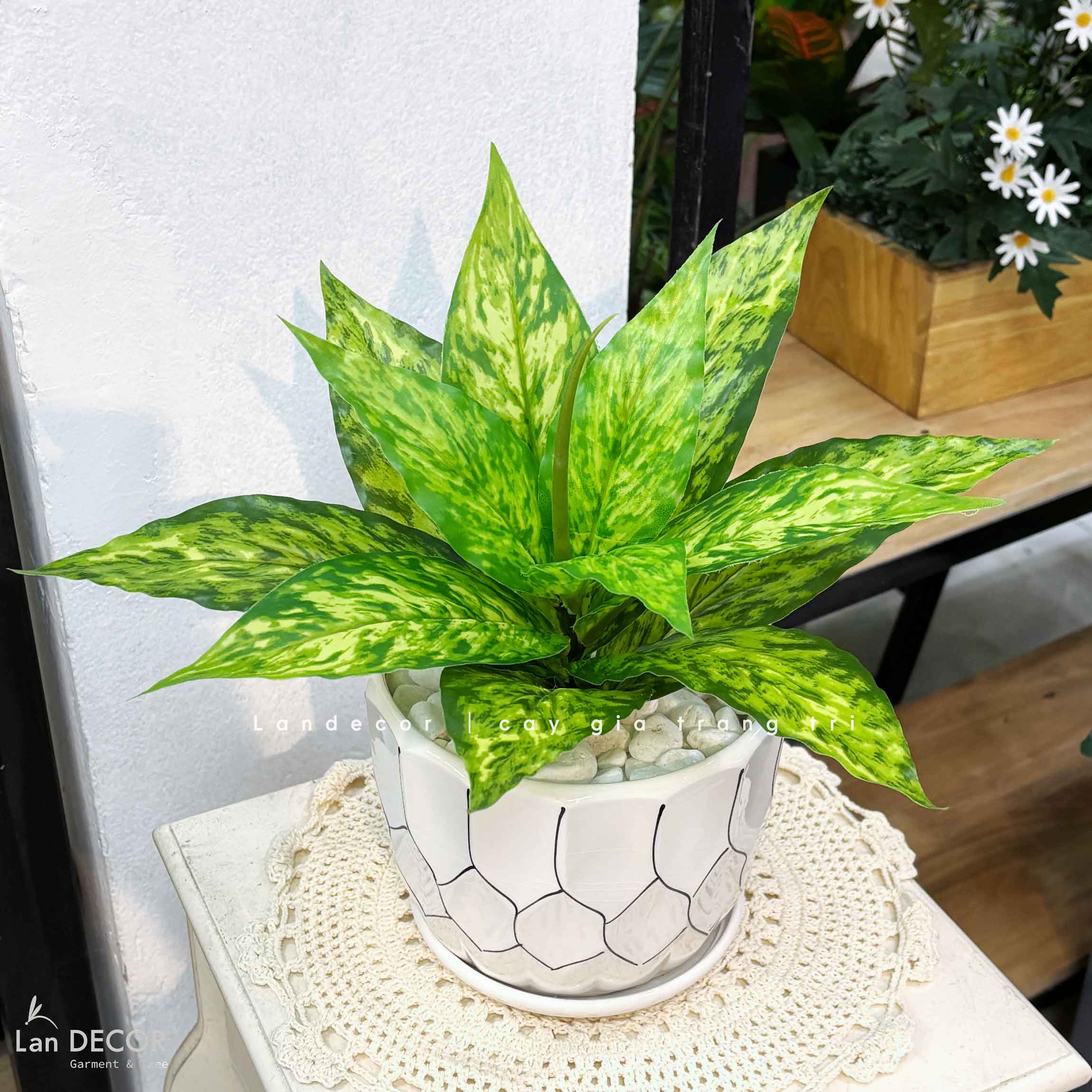 Cây Giả Decor- Cây Lá Lan Giả Để Bàn Trang Trí (40cm)- CC1471