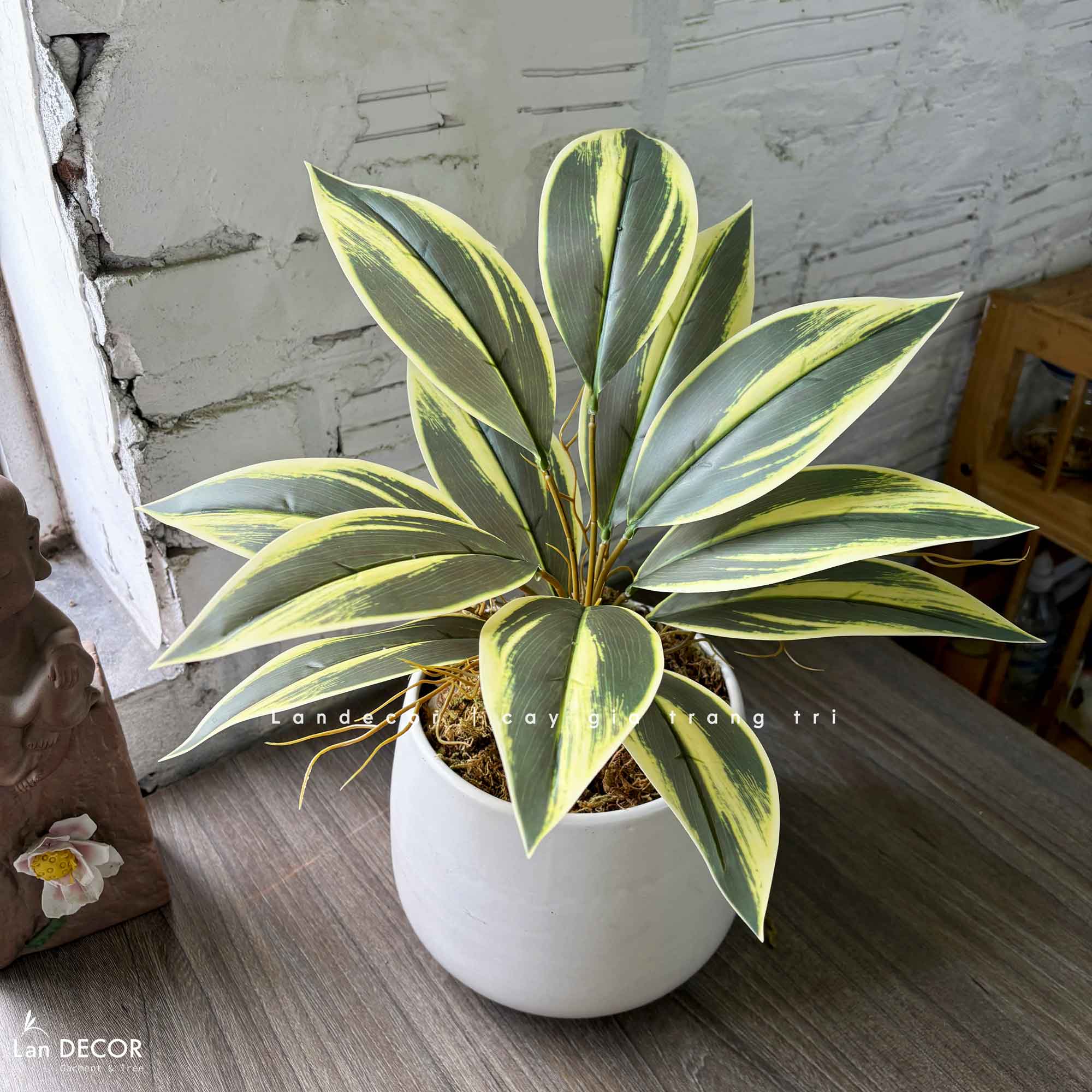 Cây Giả Trang Trí- Chậu Cây Vạn Lộc Giả Để Bàn Trang Trí Không Gian Tạo Điểm Nhấn (45cm) - CC1456