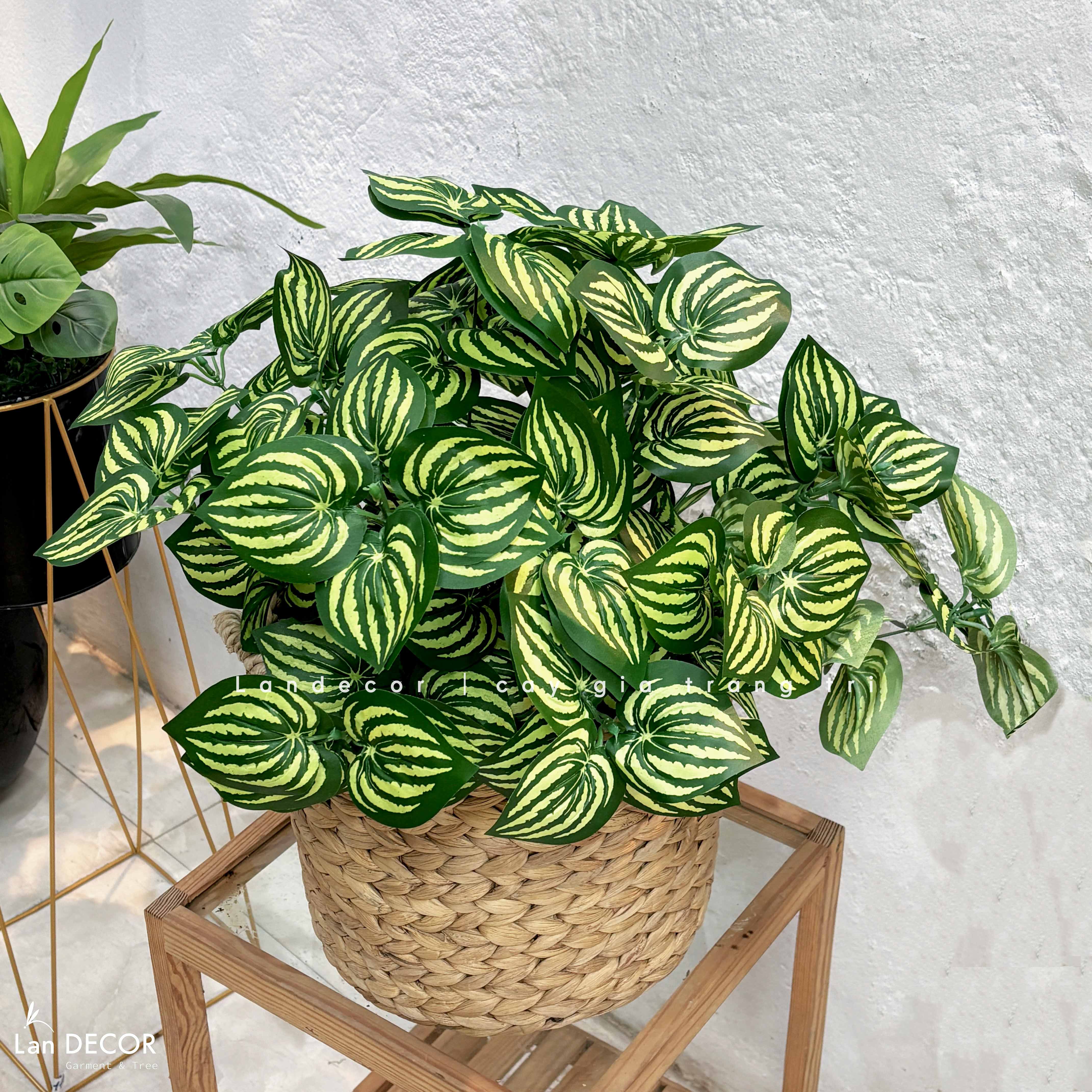 Giỏ Cây Giả - Giỏ Cây Lá Sọc Dưa Thiết Kế Bàn Làm Việc Xanh (50cm)- CC1348