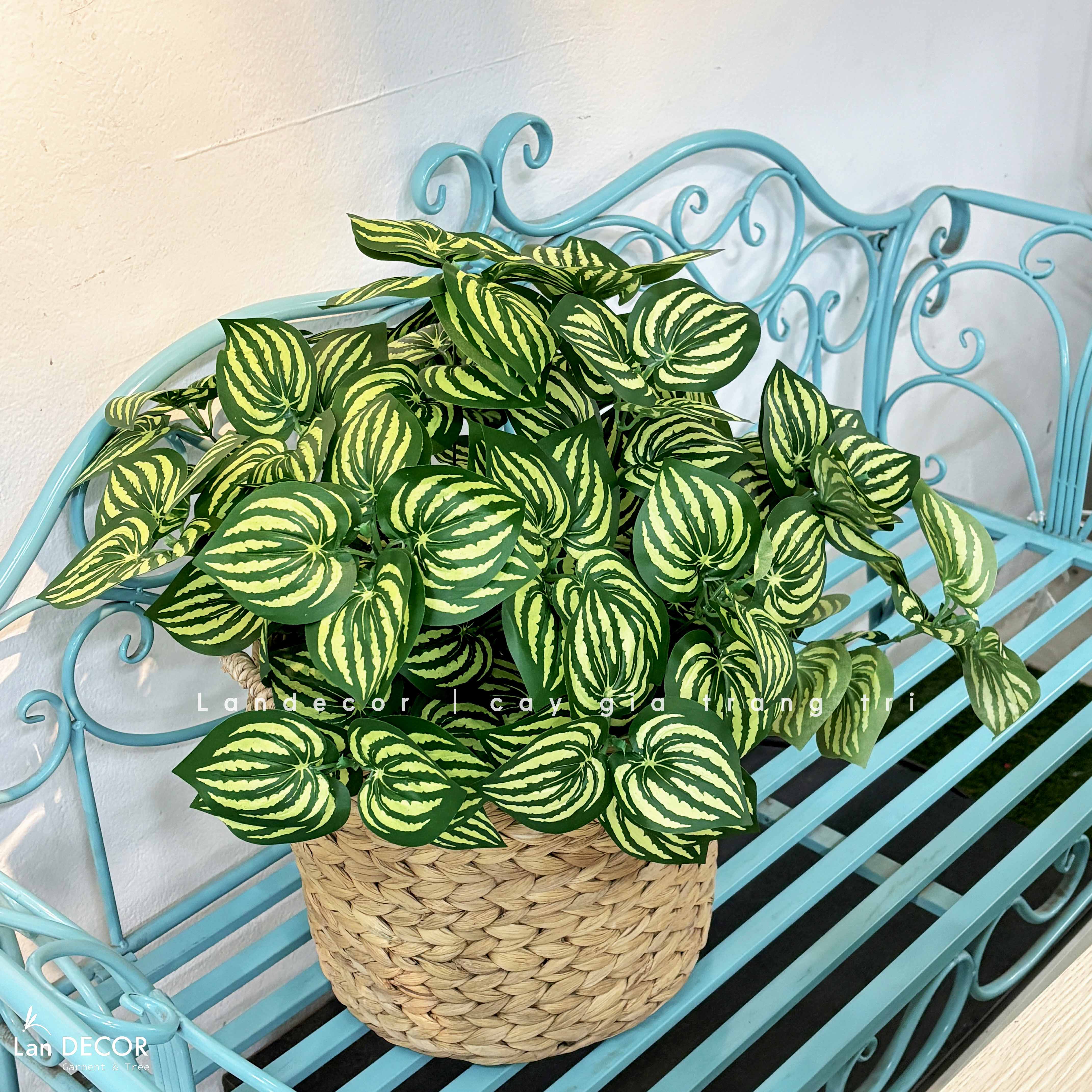 Giỏ Cây Giả - Giỏ Cây Lá Sọc Dưa Thiết Kế Bàn Làm Việc Xanh (50cm)- CC1348
