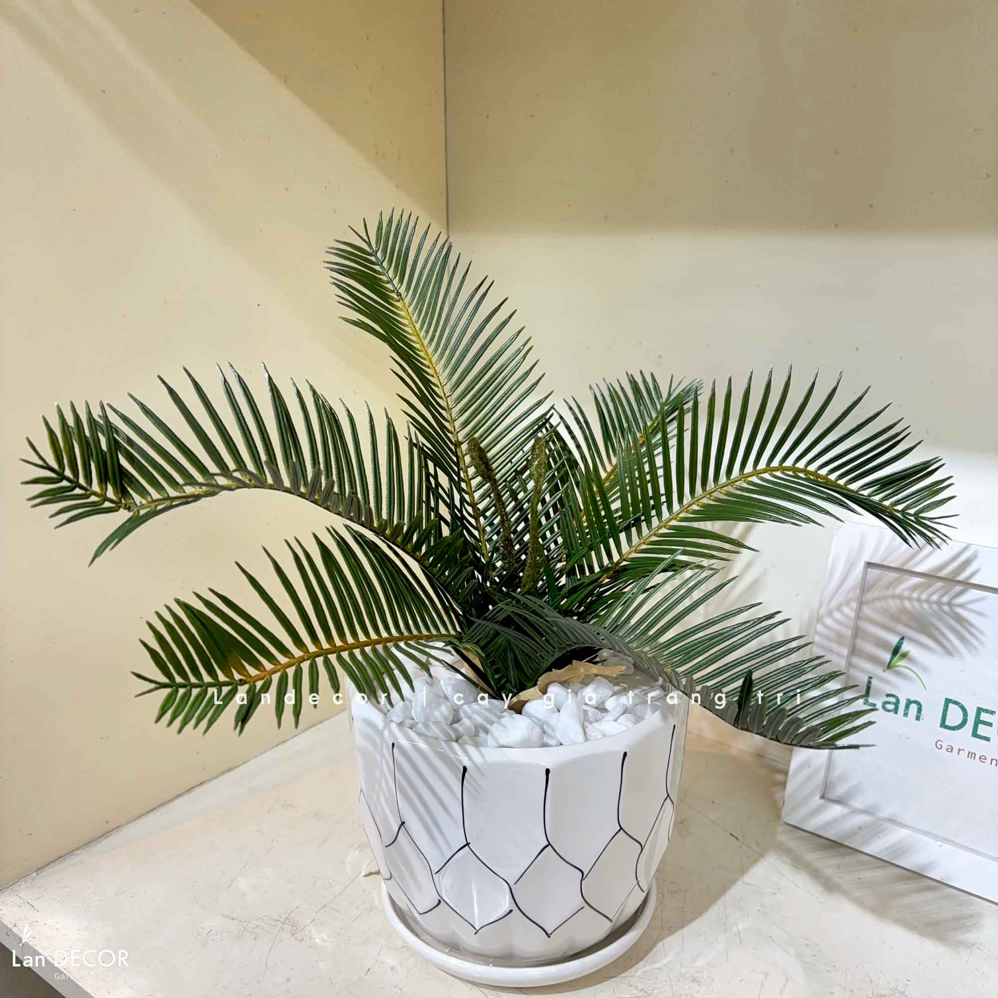 Cây Giả Để Bàn- Chậu Cây Vạn Tuế Giả Trang Trí Nội Thất (45cm)- CC1478