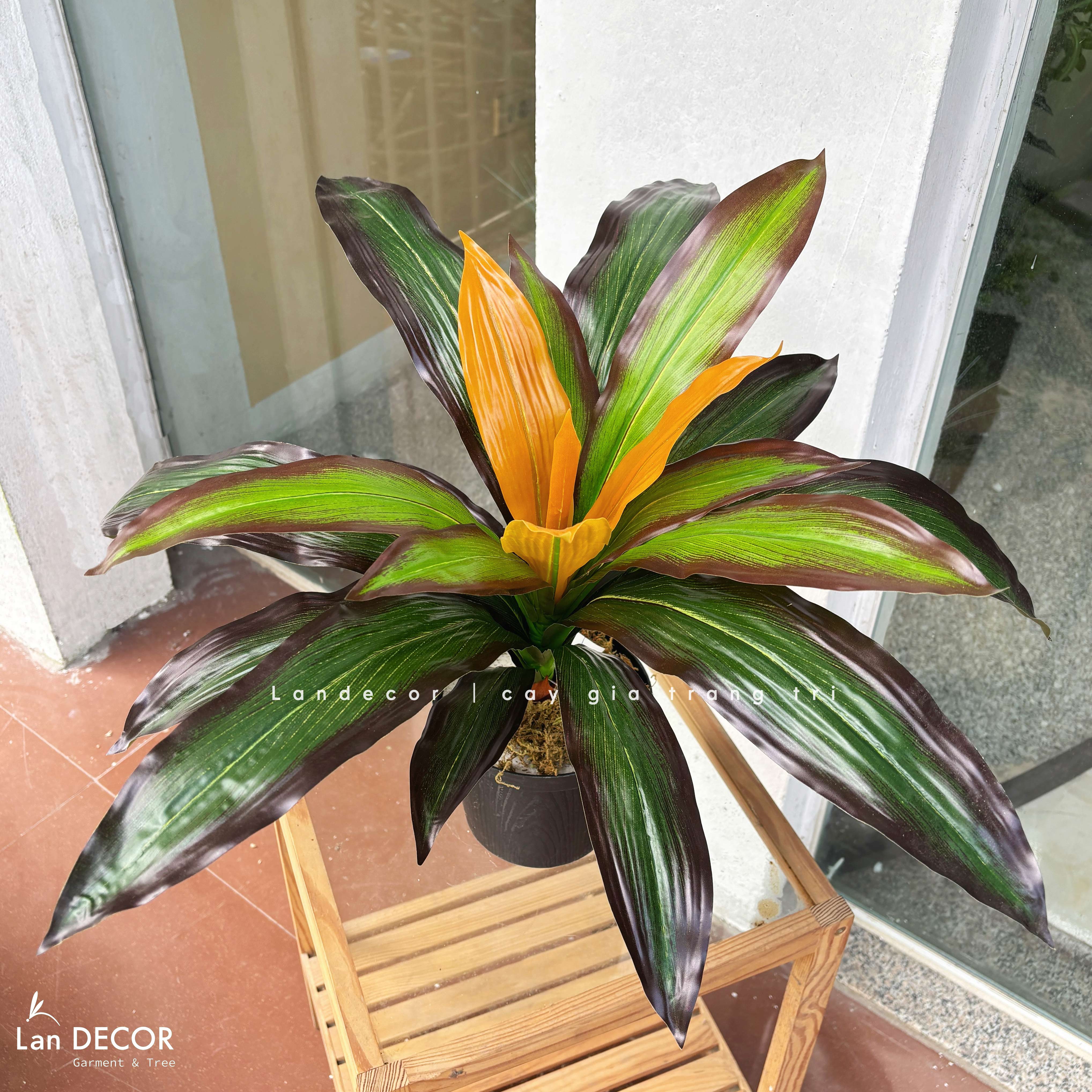 Cây Giả Trang Trí- Cây Tài Lộc Giả Để Bàn Decor Không Gian Nổi Bật (45cm)- LC3427