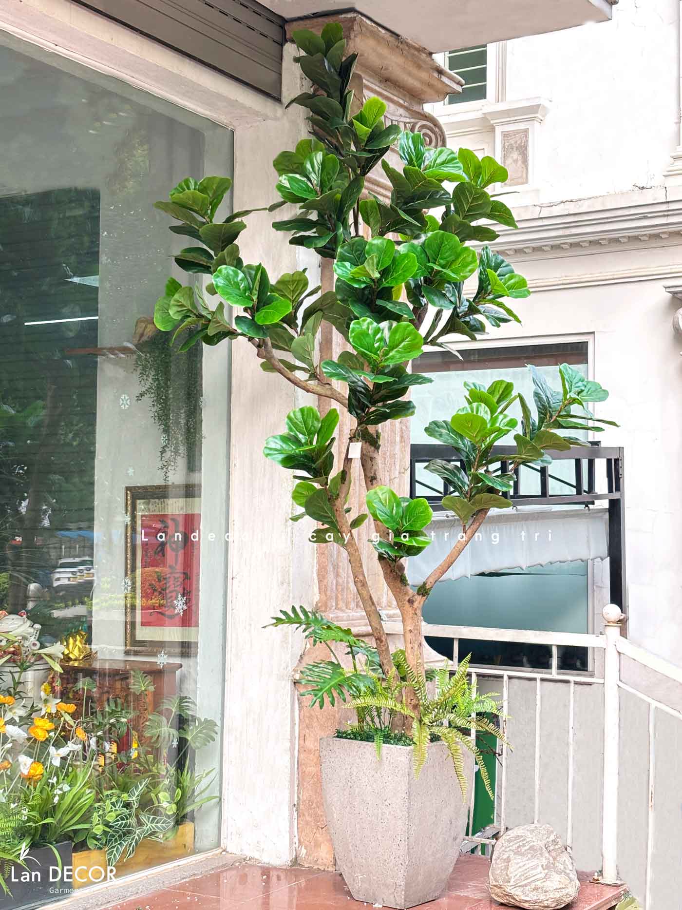 Cây Bàng Giả Decor- Cây Bàng Giả Trang Trí Tiểu Cảnh Cửa Hiệu (240cm)- CC1294