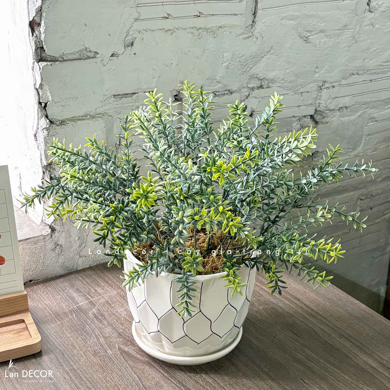 Cây Giả Để Bàn - Cây Lá Rong Giả Để Bàn Trang Trí (40cm) - CC1459