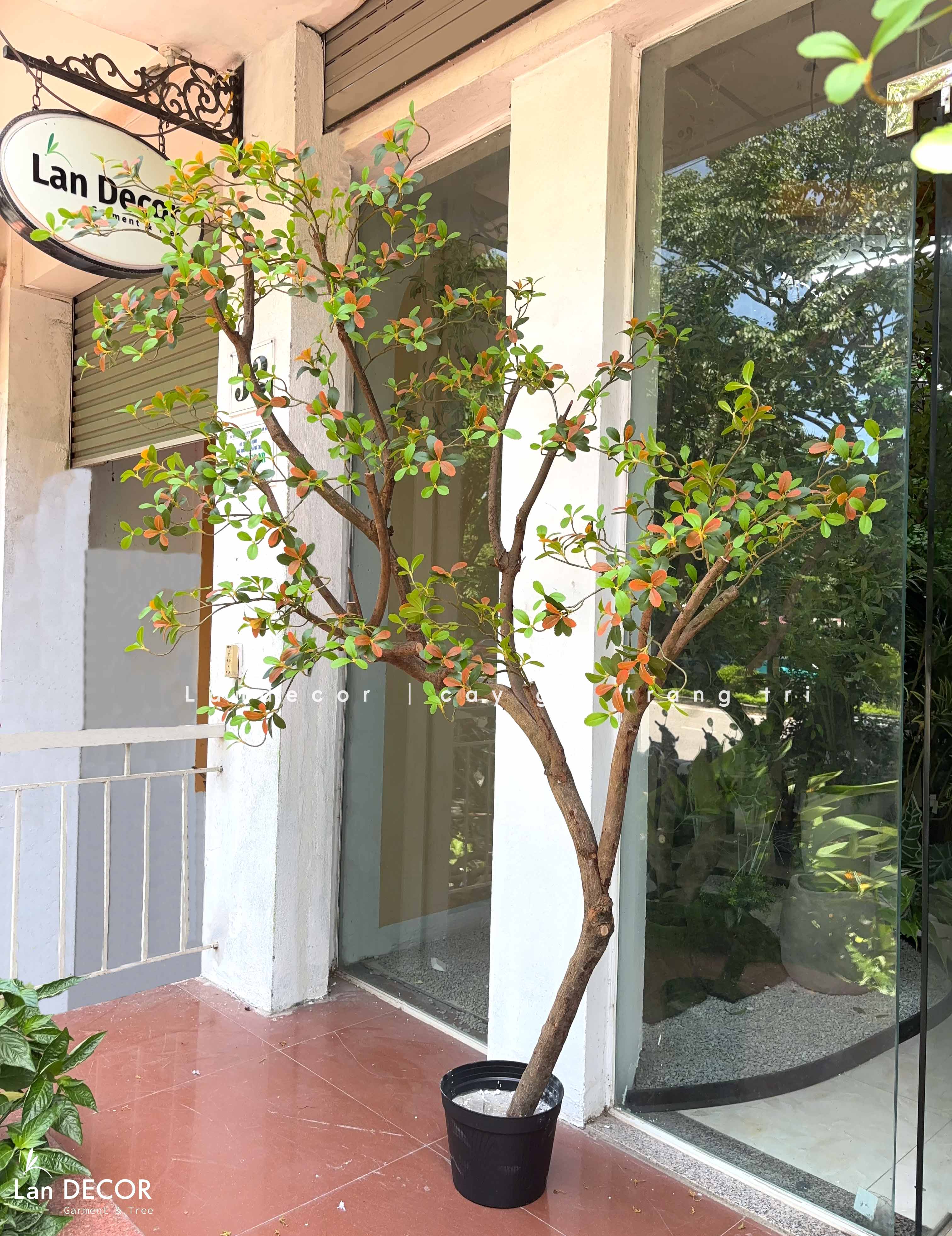 Cây Giả Thiết Kế - Cây Lá Đỏ Giả Dáng Huyền Thiết Kế Không Gian Ấn Tượng (220cm)- CC1384