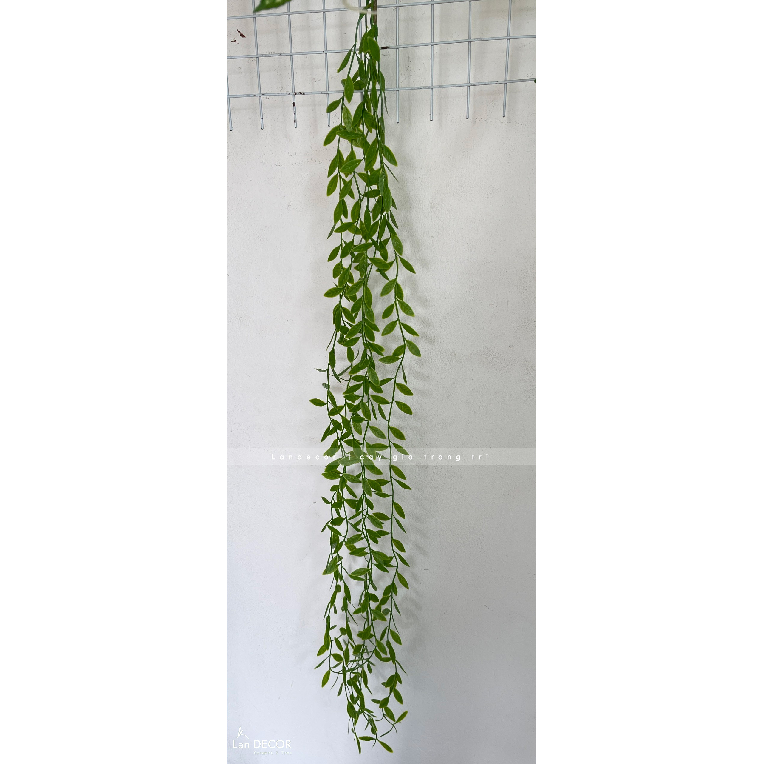 Cành Lá Giả - Cành Cúc Tần Ấn Độ Trang Trí Tiểu Cảnh Rủ (100cm)- HC1332
