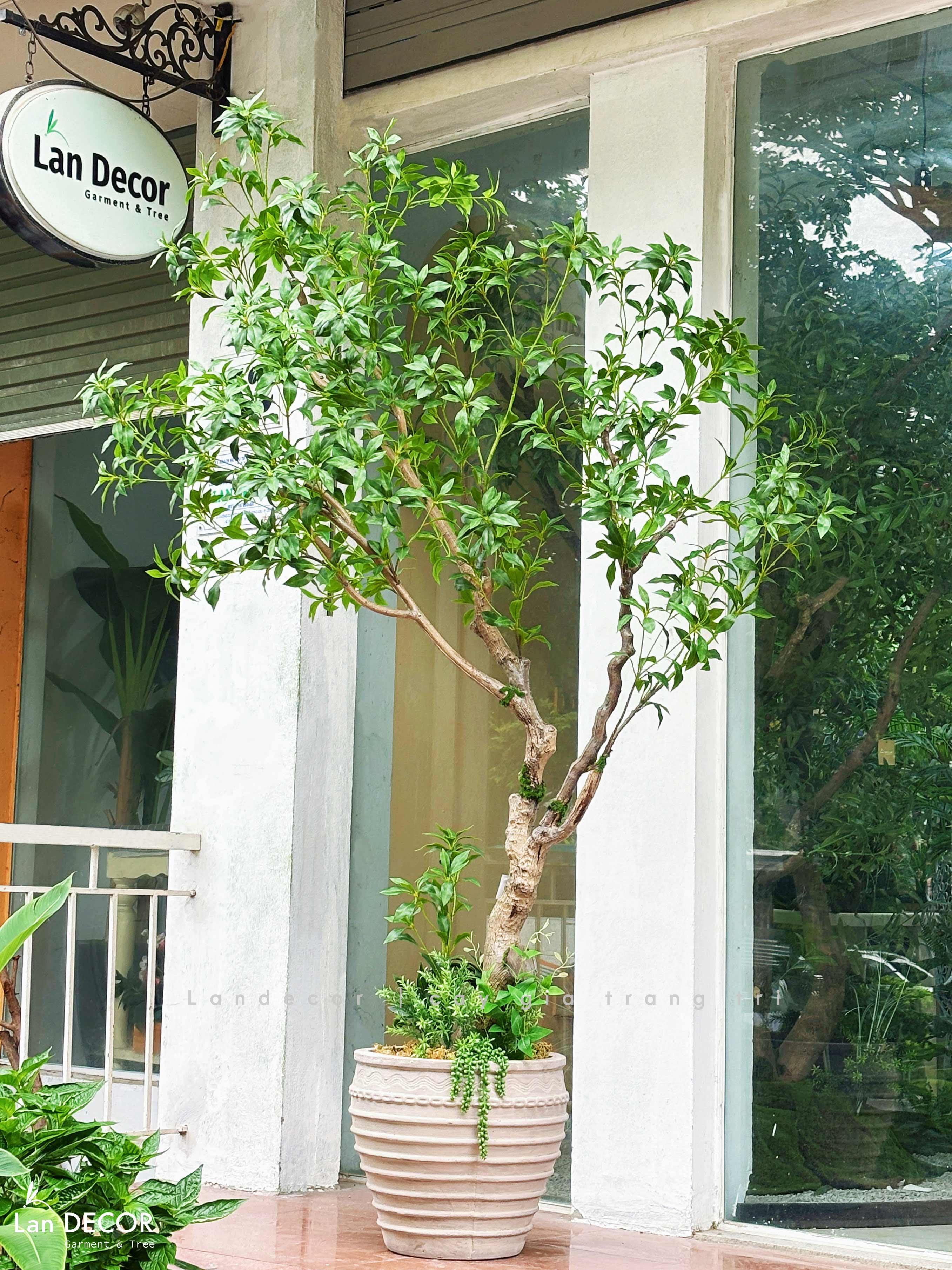 Cây Giả Thiết Kế- Cây Linh Sơn Tiểu Cảnh Thiết Kế Không Gian Đẹp (220cm)- CC1355