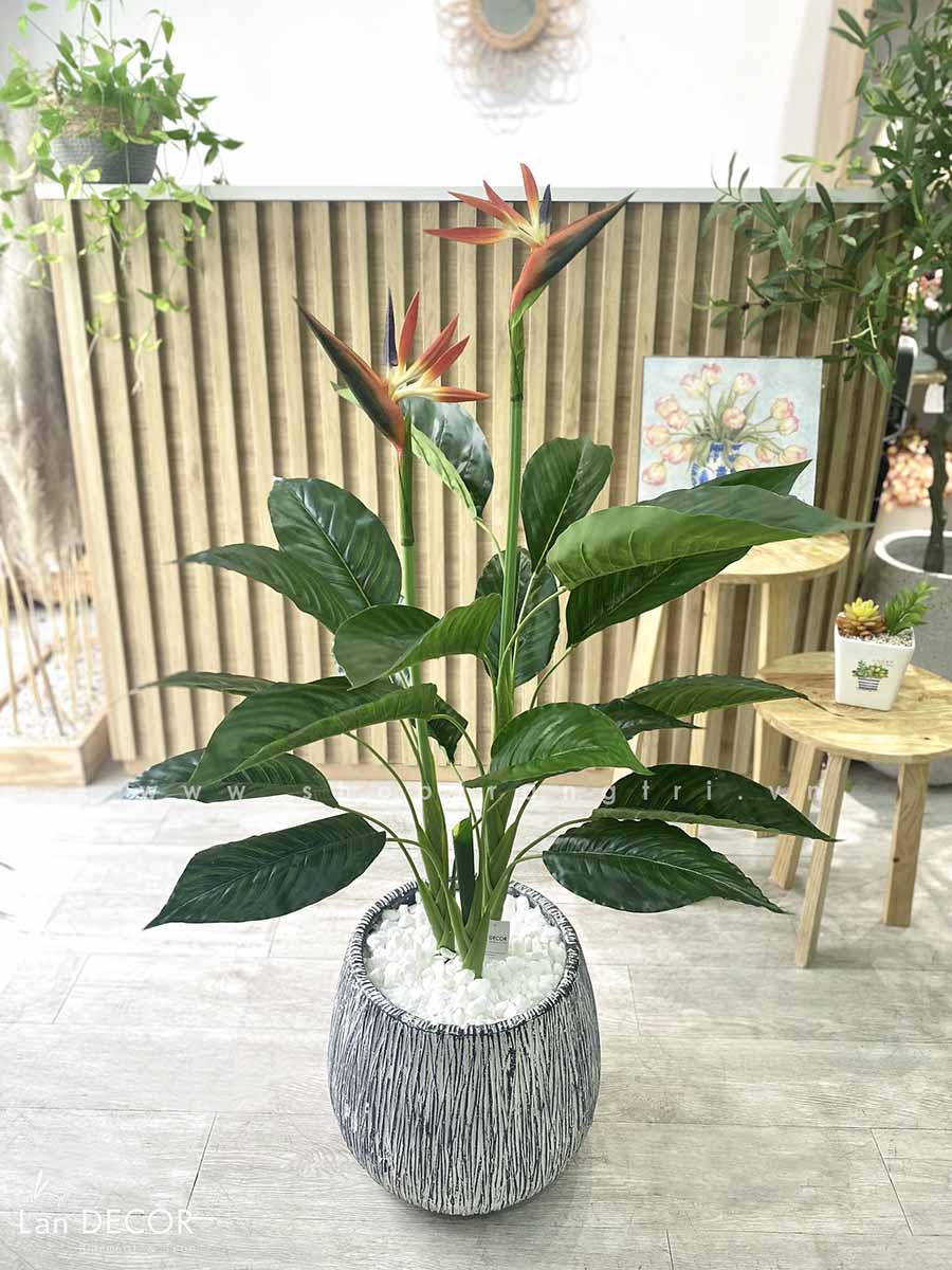 CÂY THIÊN ĐIỂU CÂY HOA THIÊN ĐƯỜNG TRANG TRÍ (100cm) - LC2947