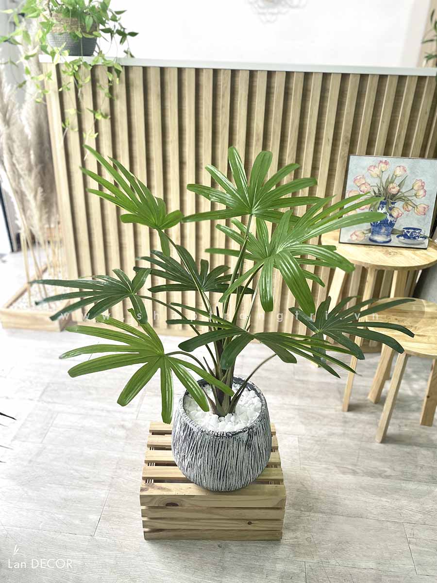 Cọ rừng trang trí Landecor ( 80cm) - LC3193