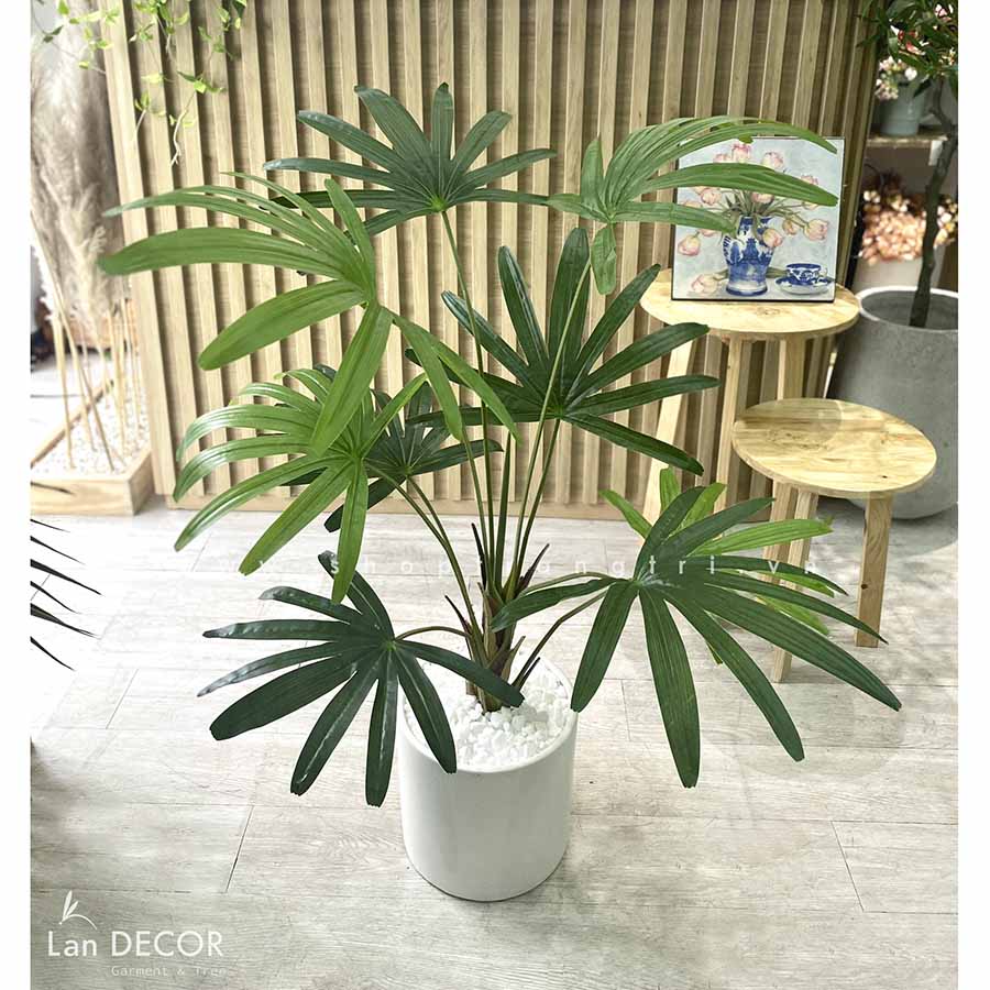 CHẬU CÂY CỌ RỪNG TRANG TRÍ TIỂU CẢNH LANDECOR (100CM) - LC3194-1 MIX