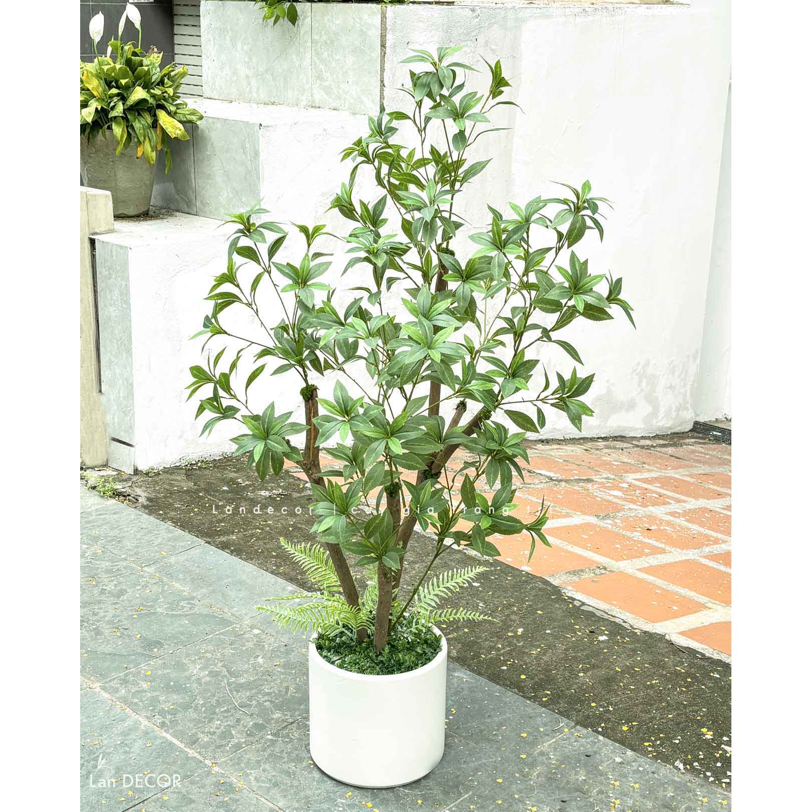 Cây Giả Trang Trí- Cây Asebi Thiết Kế Cửa Hiệu Xanh Mát (130cm)- CC1056