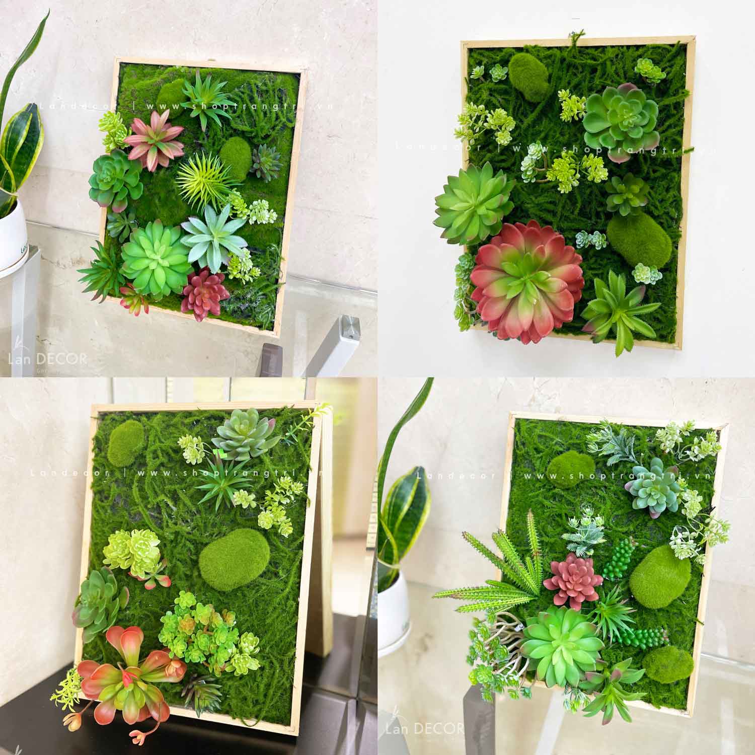 KHUNG TRANH RÊU SEN ĐÁ TRANG TRÍ TIỂU CẢNH - KTR010(30X40)