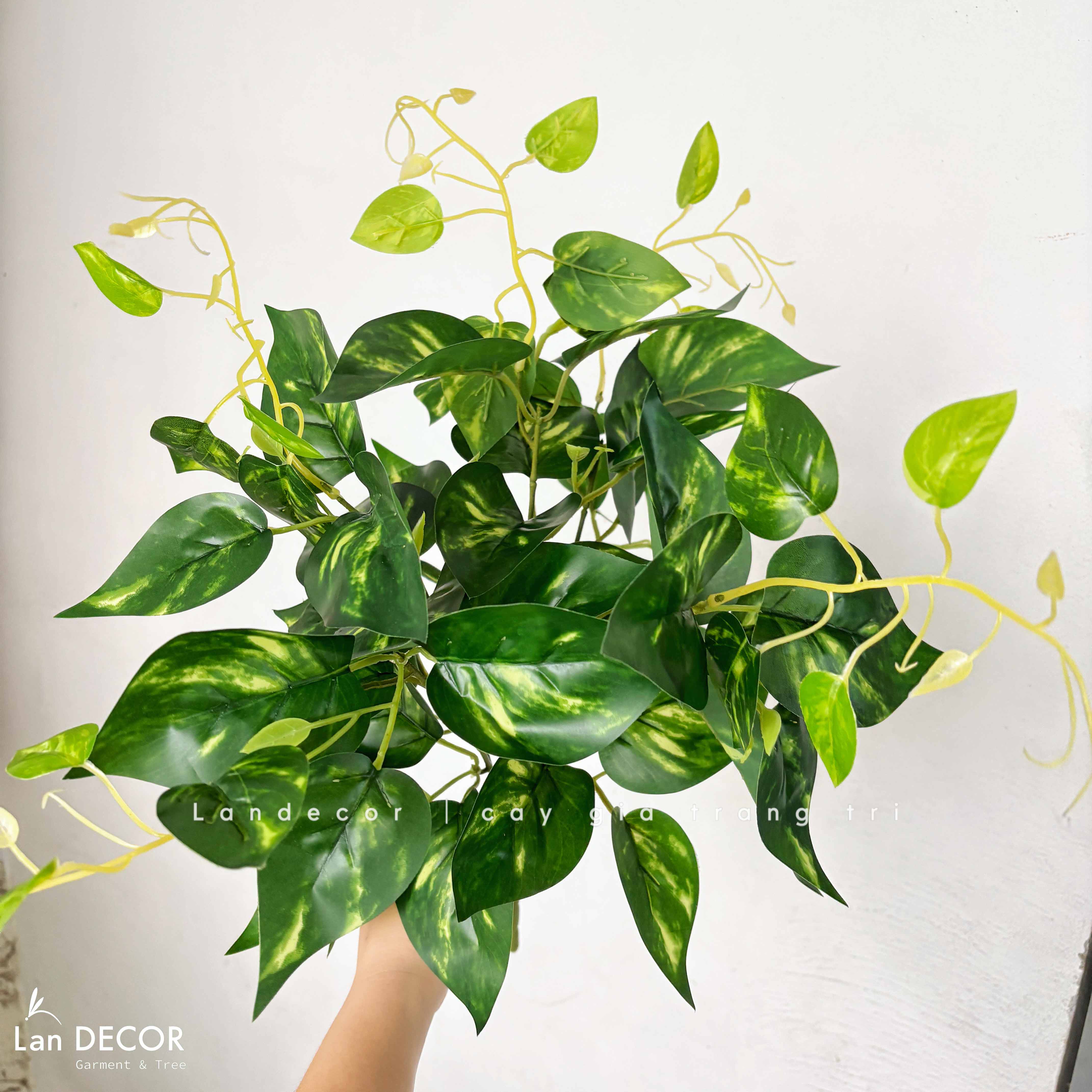 Cành Lá Giả - Cành Vạn Niên Giả Trang Trí Giỏ Treo, Thiết Kế Chậu Cây Giả Decor (50cm)- HC1440