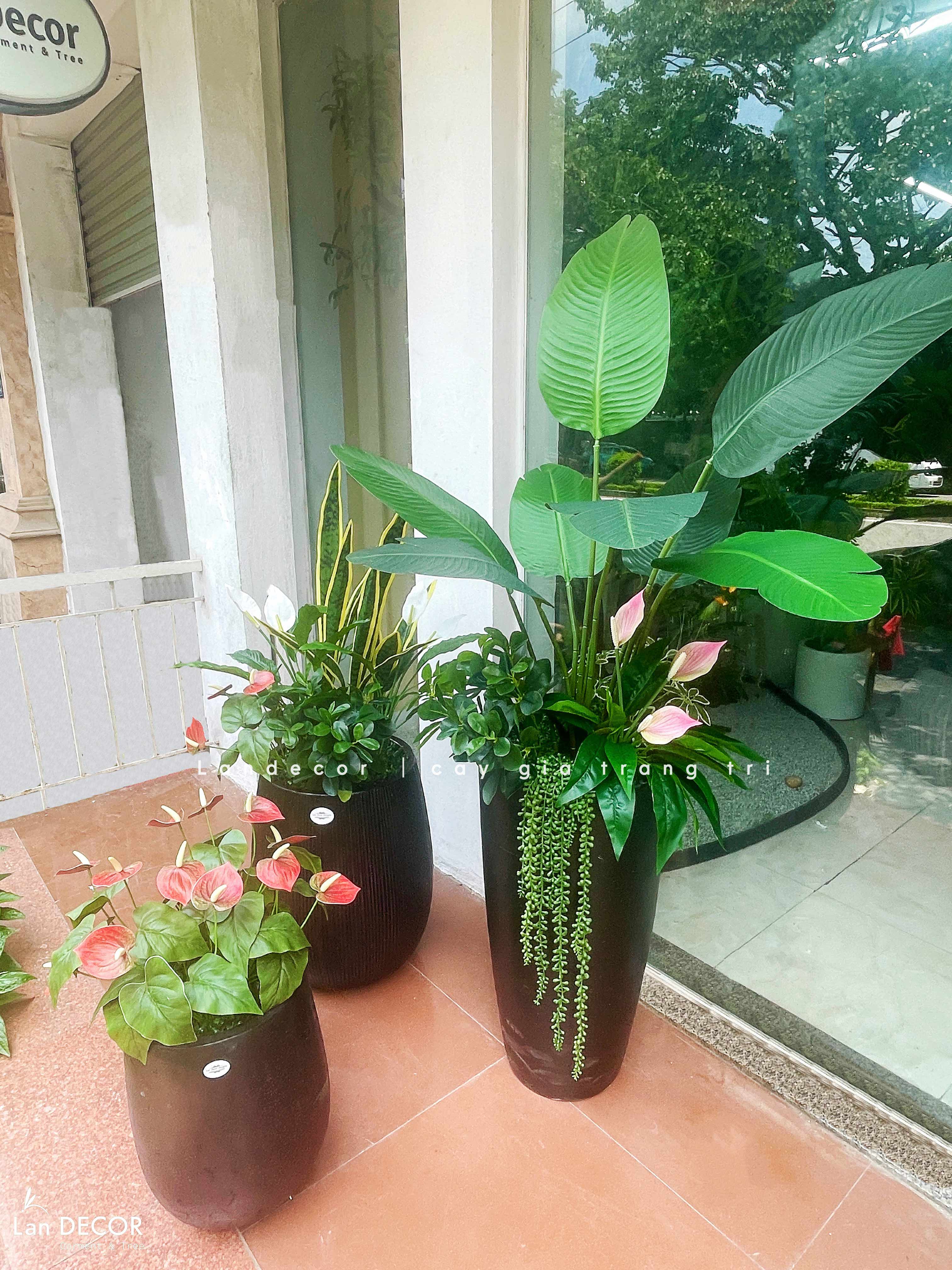 Cây Giả - Chậu Cây Chuối Rẻ Quạt Trang Trí Không Gian Phong Cách Hiện Đại (150cm)- CC1344