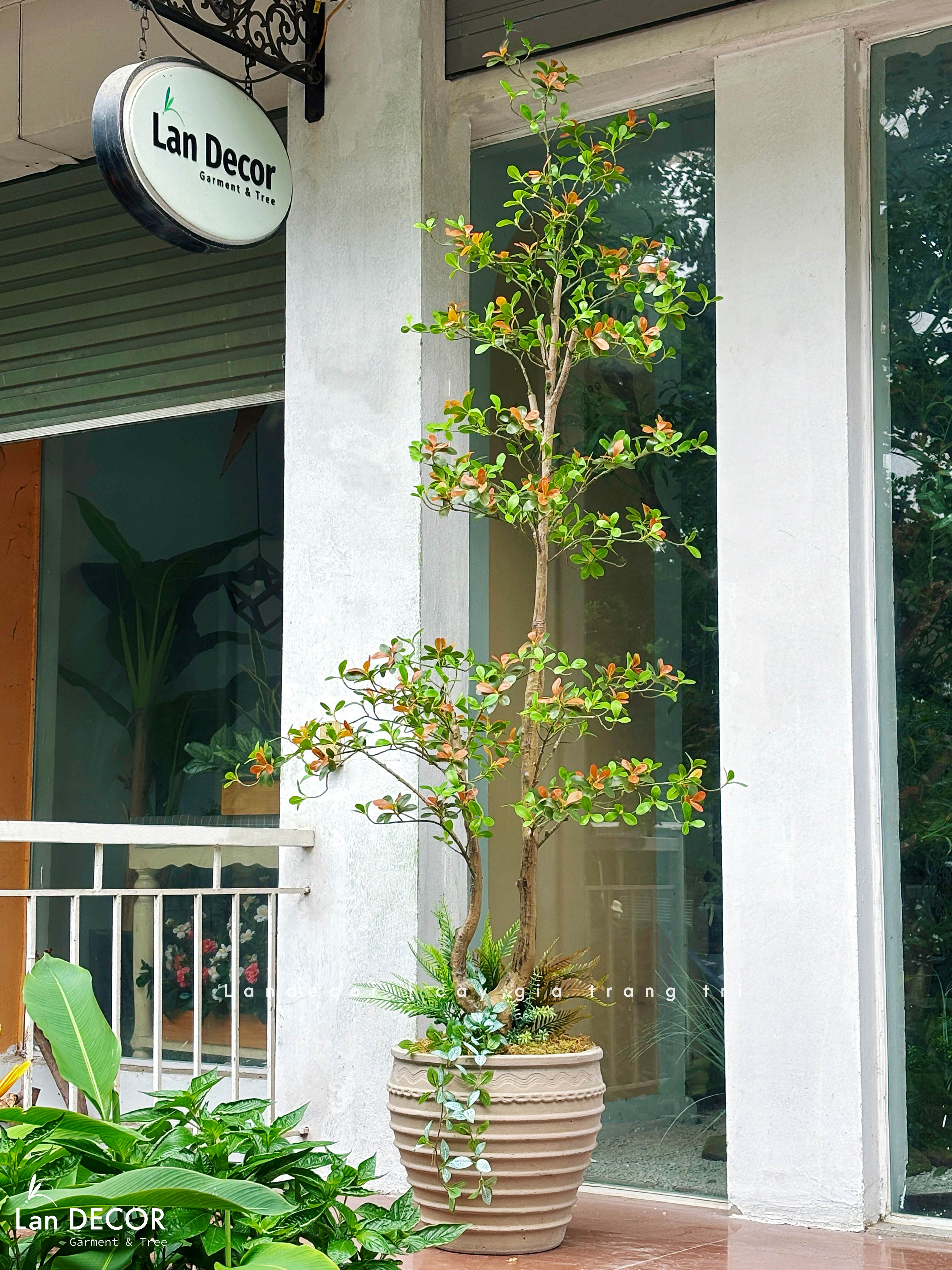 Cây Giả Thiết Kế- Cây Cành Cổ 3 Lá Độc Đáo, Thiết Kế Không Gian Hiện Đại (230cm)- CC1354
