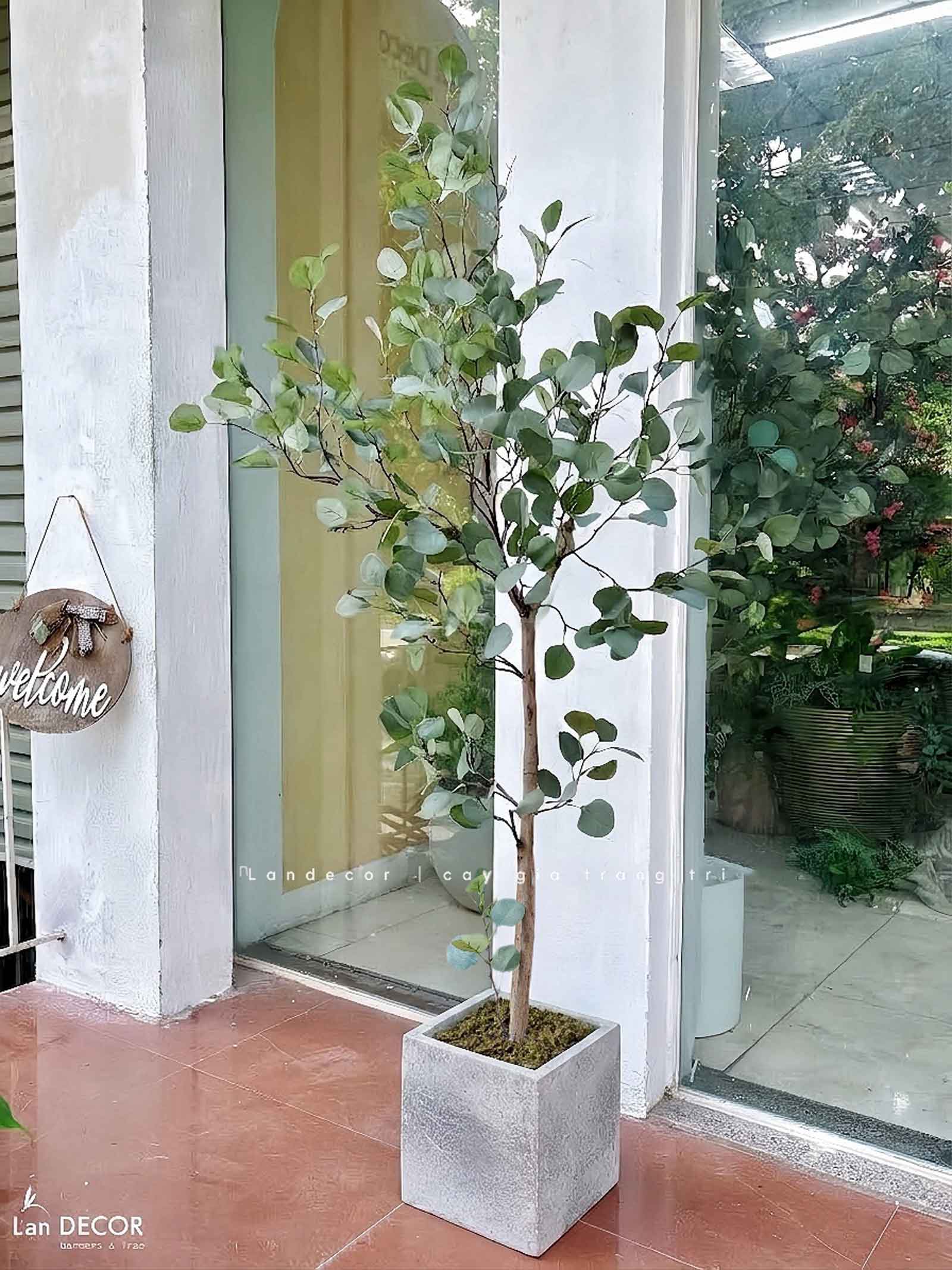Cây Giả Decor - Cây Bạch Đàn Giả Decor Nội Thất Hiện Đại- CC1443