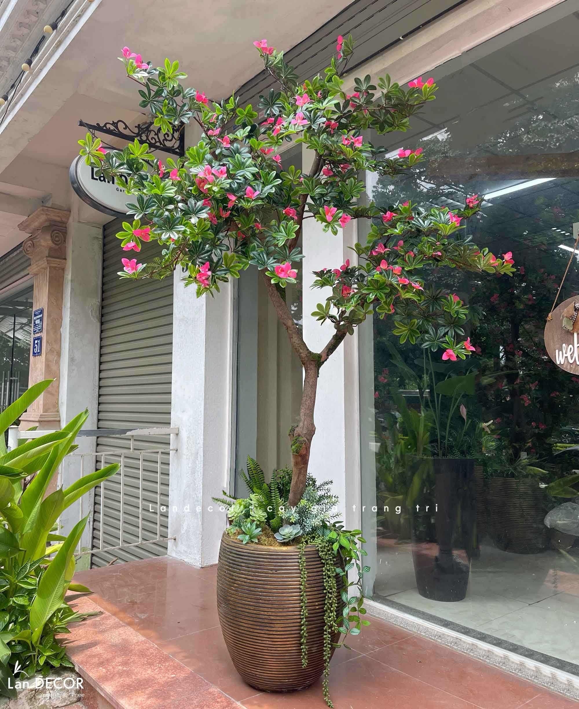 Cây Giả Tiểu Cảnh - Cây Đỗ Quyên Giả Thiết Kế Lan Decor, Trang Trí Không Gian Hiện Đại- CC1393
