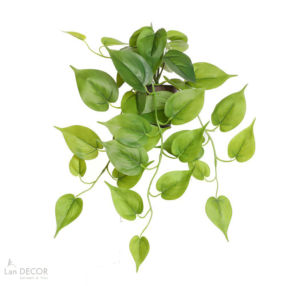 Cành Lá Giả Decor- Cành Vạn Niên Thanh Rủ Giá Trang Trí Tiểu Cảnh  (50cm)- HC1419