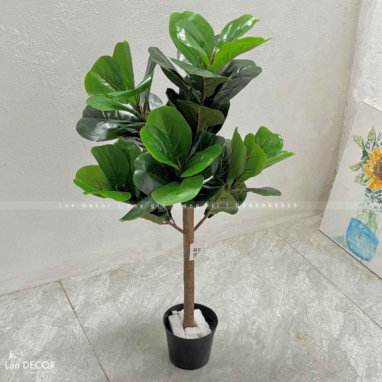 Cây Bàng Singapore hiện đại trang trí nhà sang trọng LanDecor (90cm) - LC2770