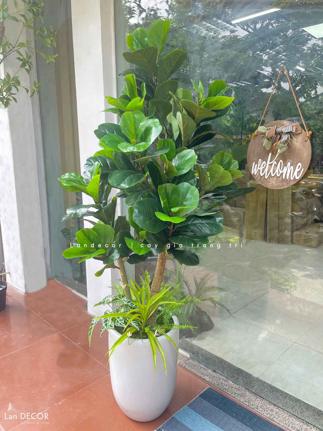 Cây Bàng Singapore Giả Trang Trí Bền Đẹp (180cm)- CC1001