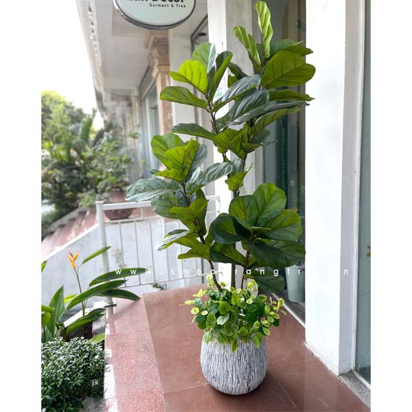 Cây bàng Singapore trang trí Landecor (160cm) - LC3184 mix