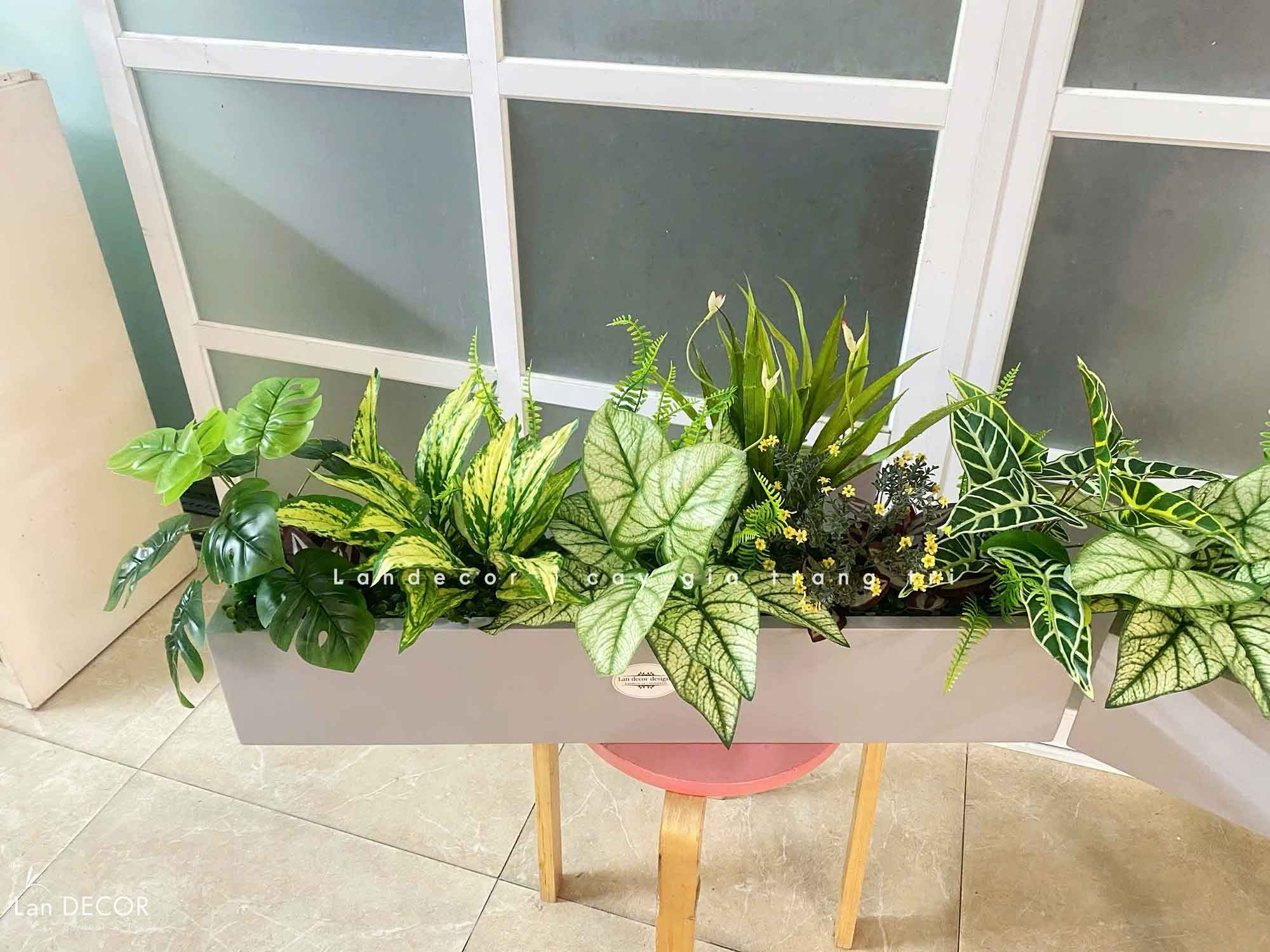 Bồn Cây Giả- Bồn Cây Tiểu Cảnh Thiết Kế Không Gian Xanh