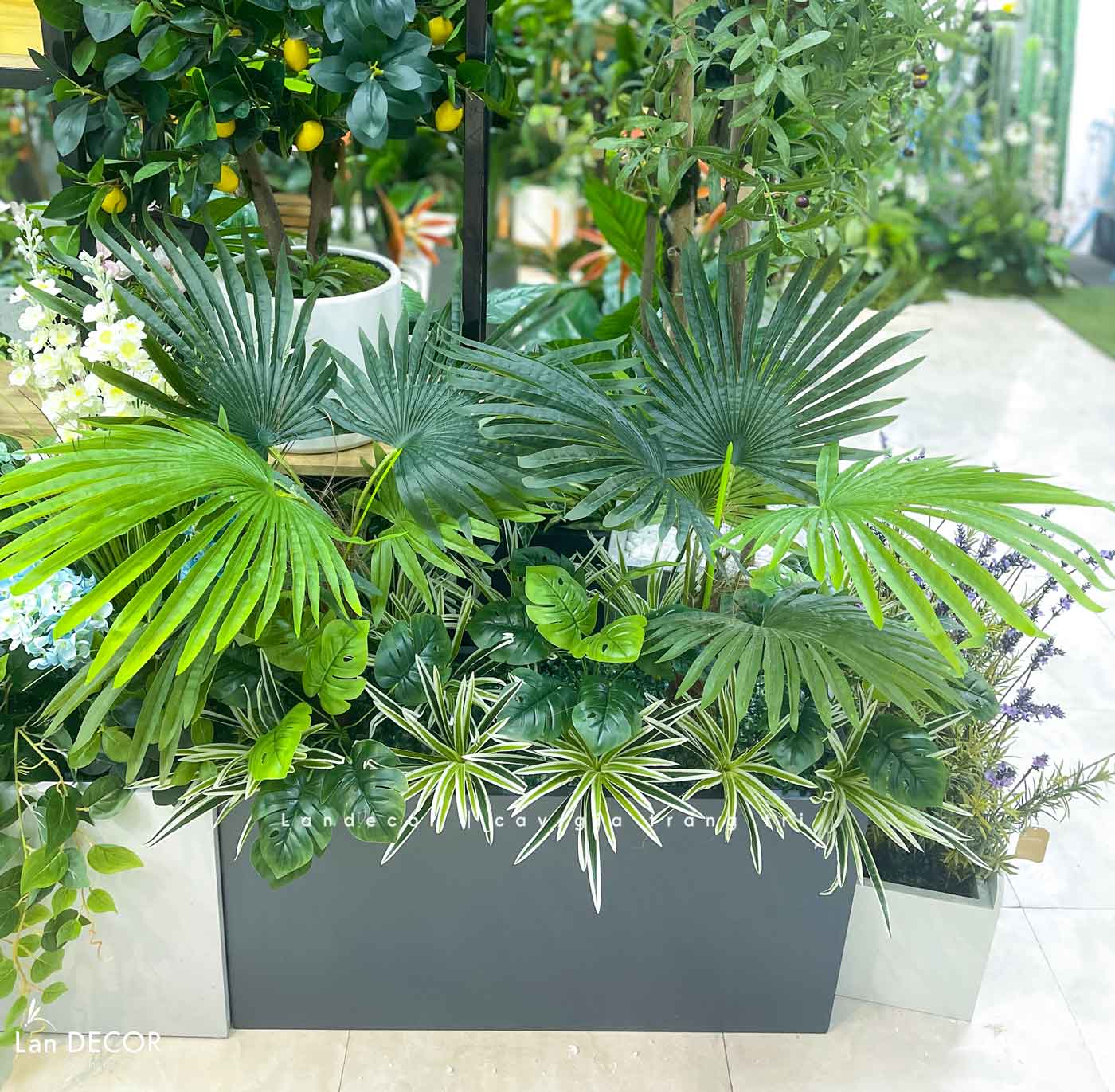 Bồn Cây Tiểu Cảnh- Bồn Cây Cọ Trang Trí Cửa Hàng Xanh Mát (125x75x110cm)- BC178