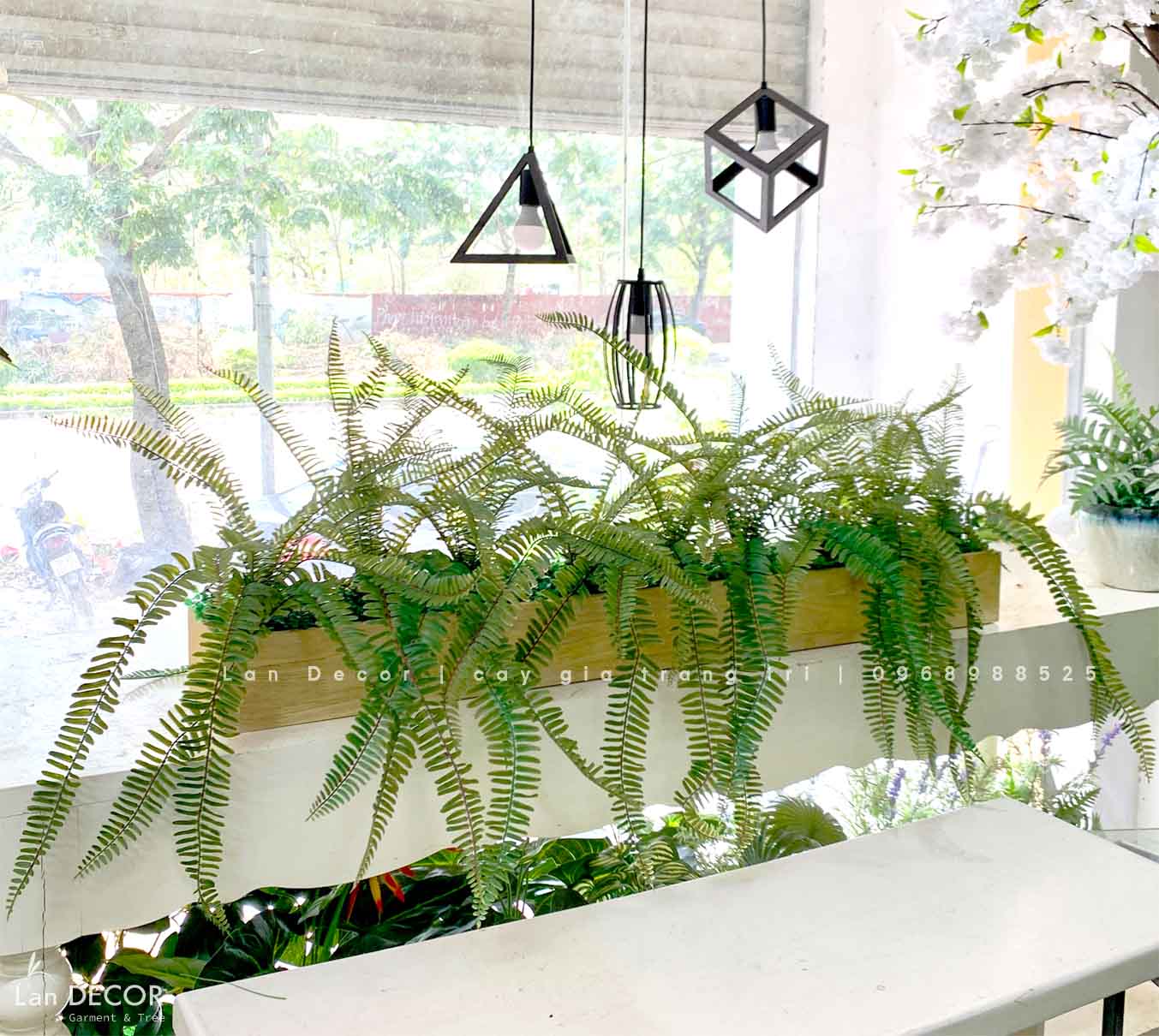 Bồn cây dương xỉ trang trí tiểu cảnh Lan Decor - BC073