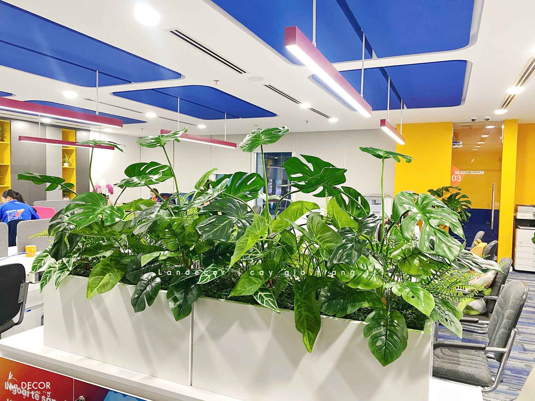 Tiểu Cảnh Văn phòng- Bồn Cành Lá Monstera Thiết Kế Lan Decor, Kiến Tạo Không Gian Xanh Tươi Mới (56x26x20cm)- BC209-SG
