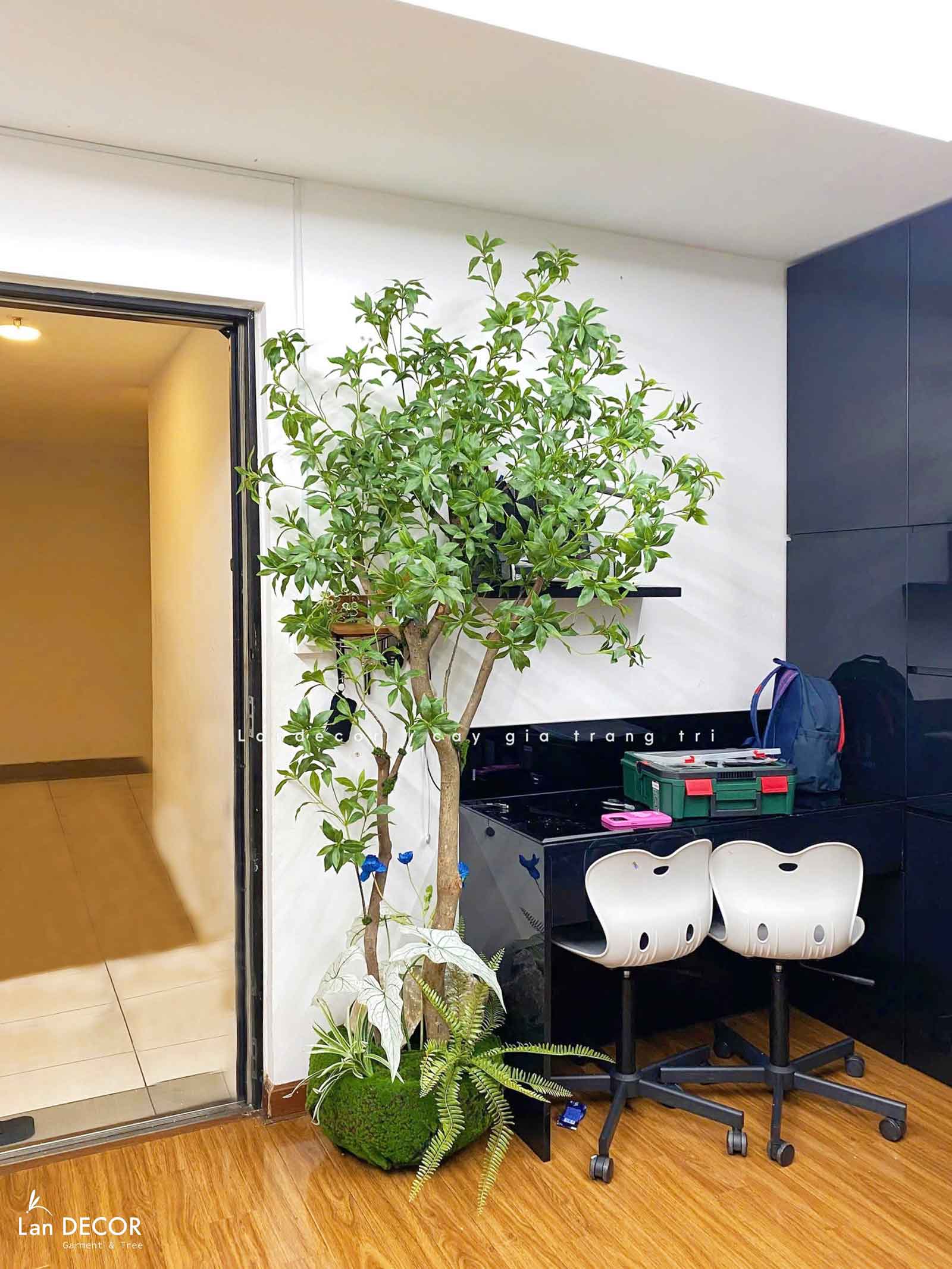 TRANG TRÍ KHÔNG GIAN XANH VỚI BỒN RÊU CÂY LINH SƠN- RC040
