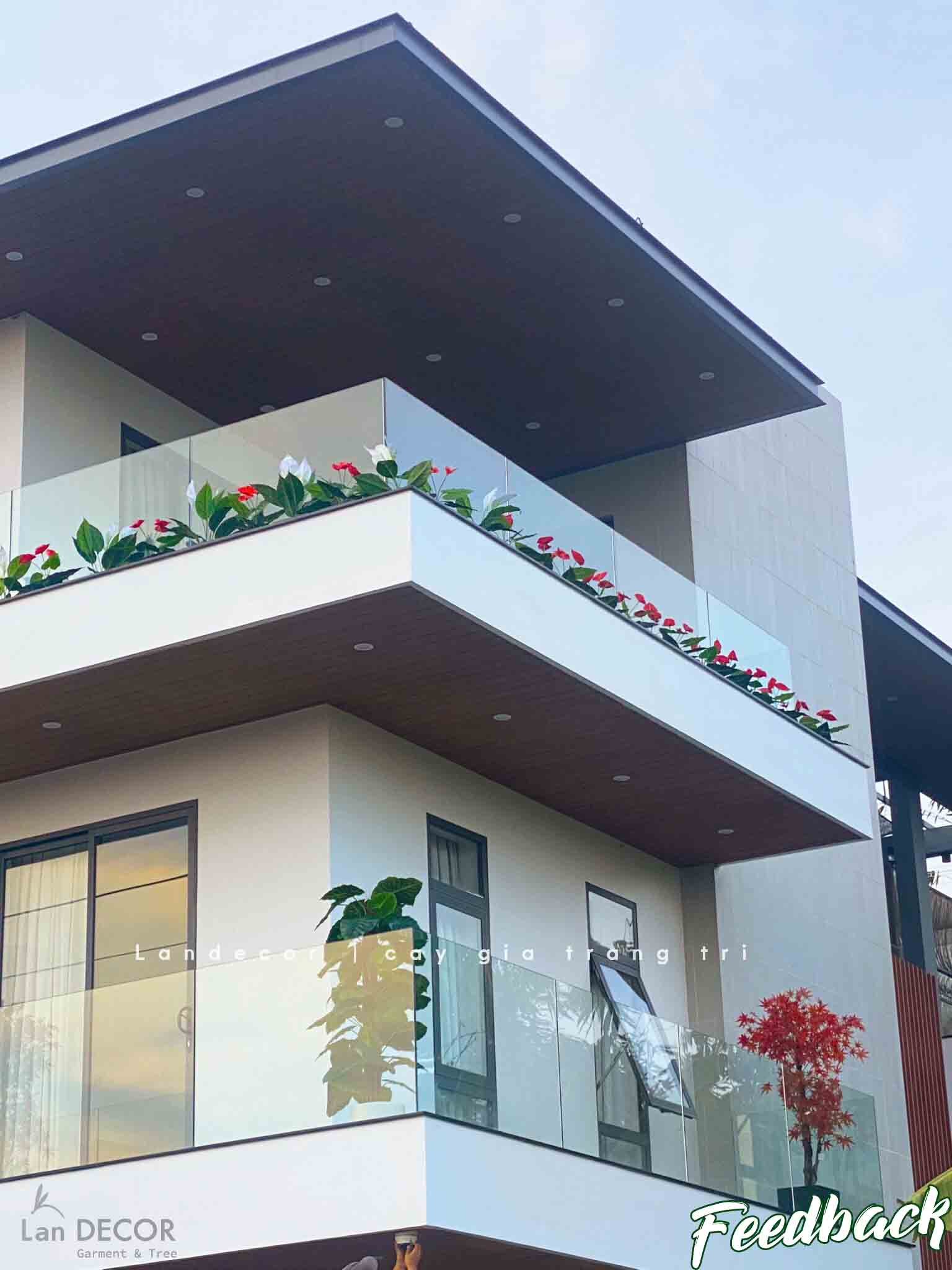 Cây Lan Ý để bàn trang trí nhà sang trọng (55cm) - LC2925-1