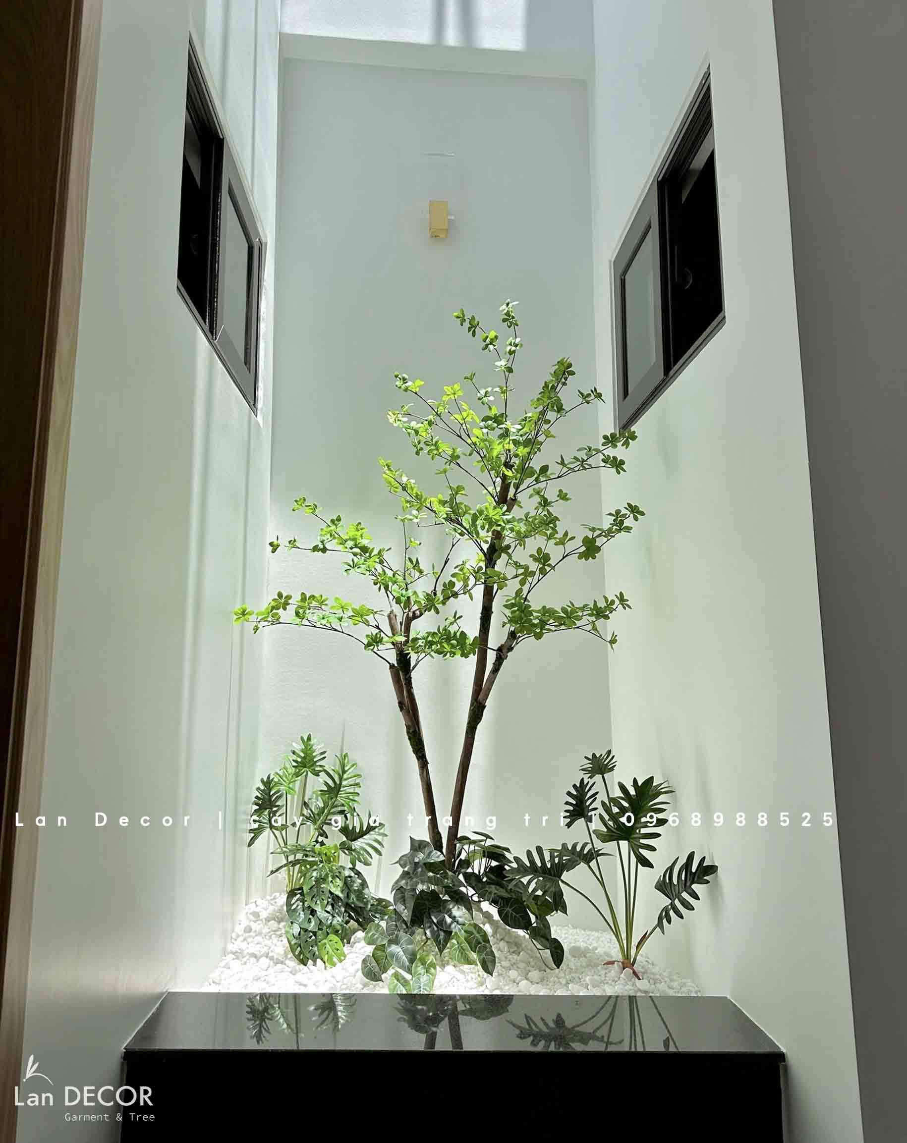 Tiểu Cảnh Gầm Cầu Thang- Bồn Cây Thạch Nam Thiết Kế ( 100x150x300cm ...