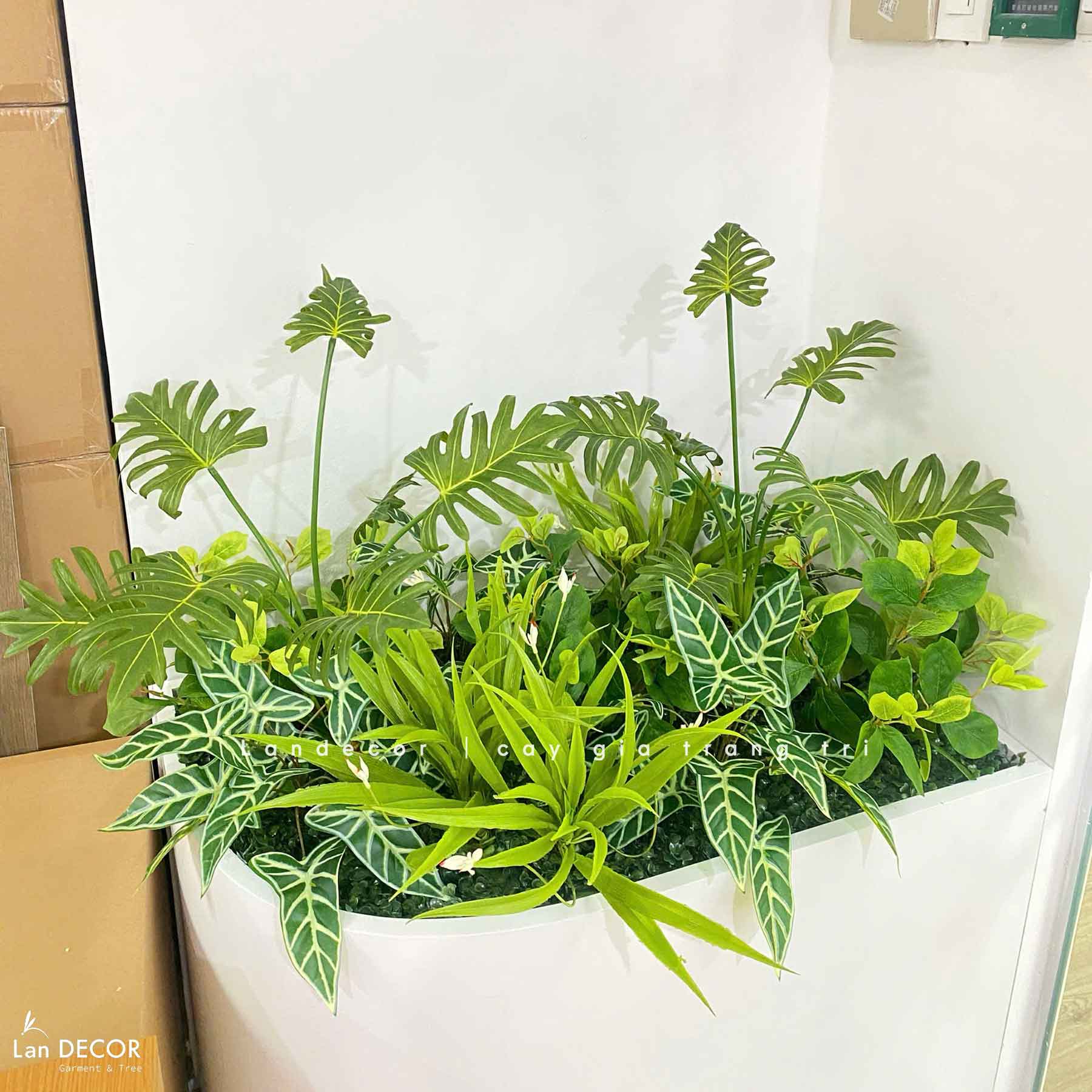 Tiểu Cảnh Cây Giả- Mẫu Tiểu Cảnh Cây Cảnh Giả Trang Trí Văn Phòng Xanh- CC1181-SG