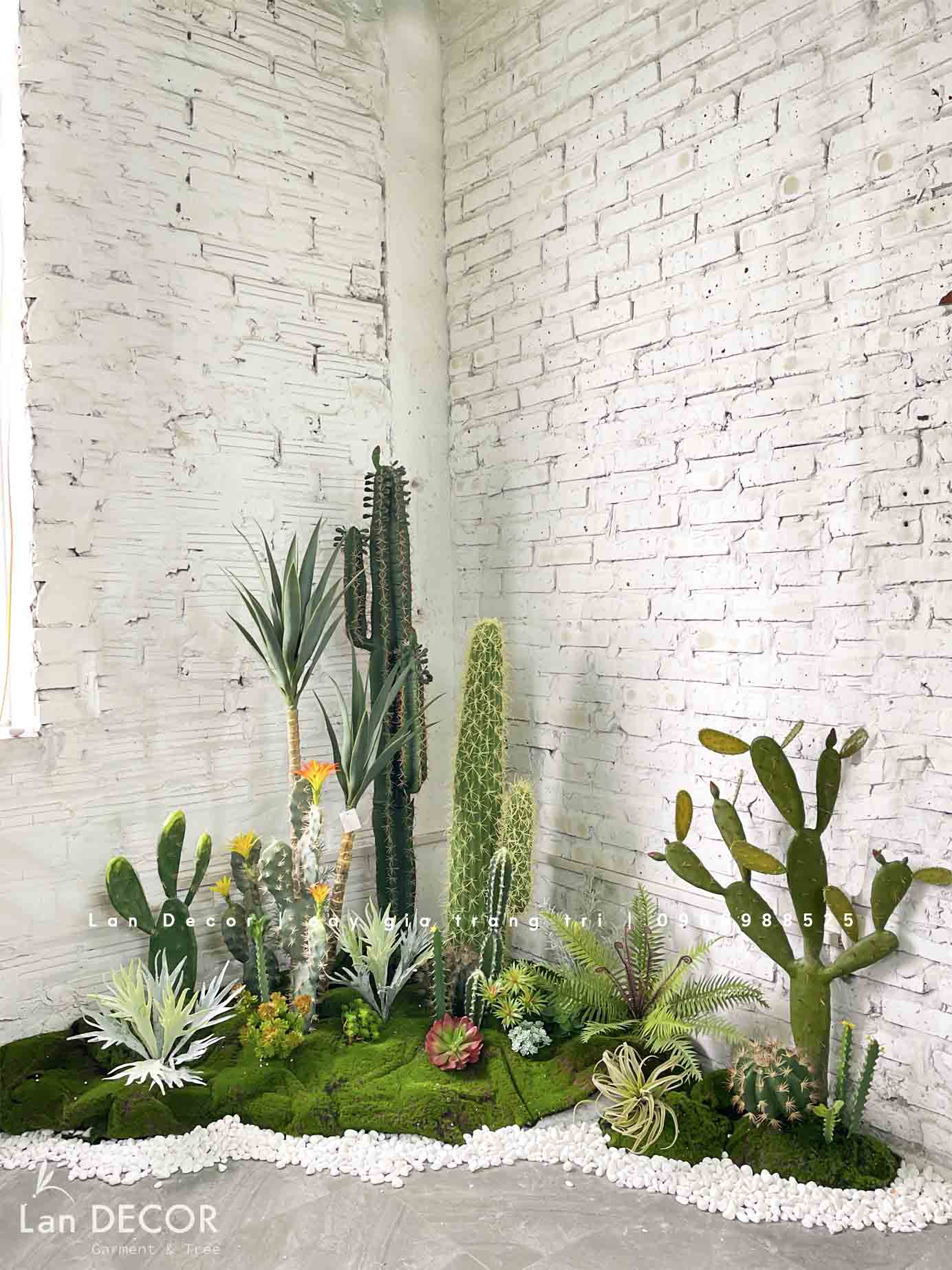 CONCEPT BỒN RÊU XƯƠNG RỒNG TRANG TRÍ TIỂU CẢNH MẪU MỚI LAN DECOR