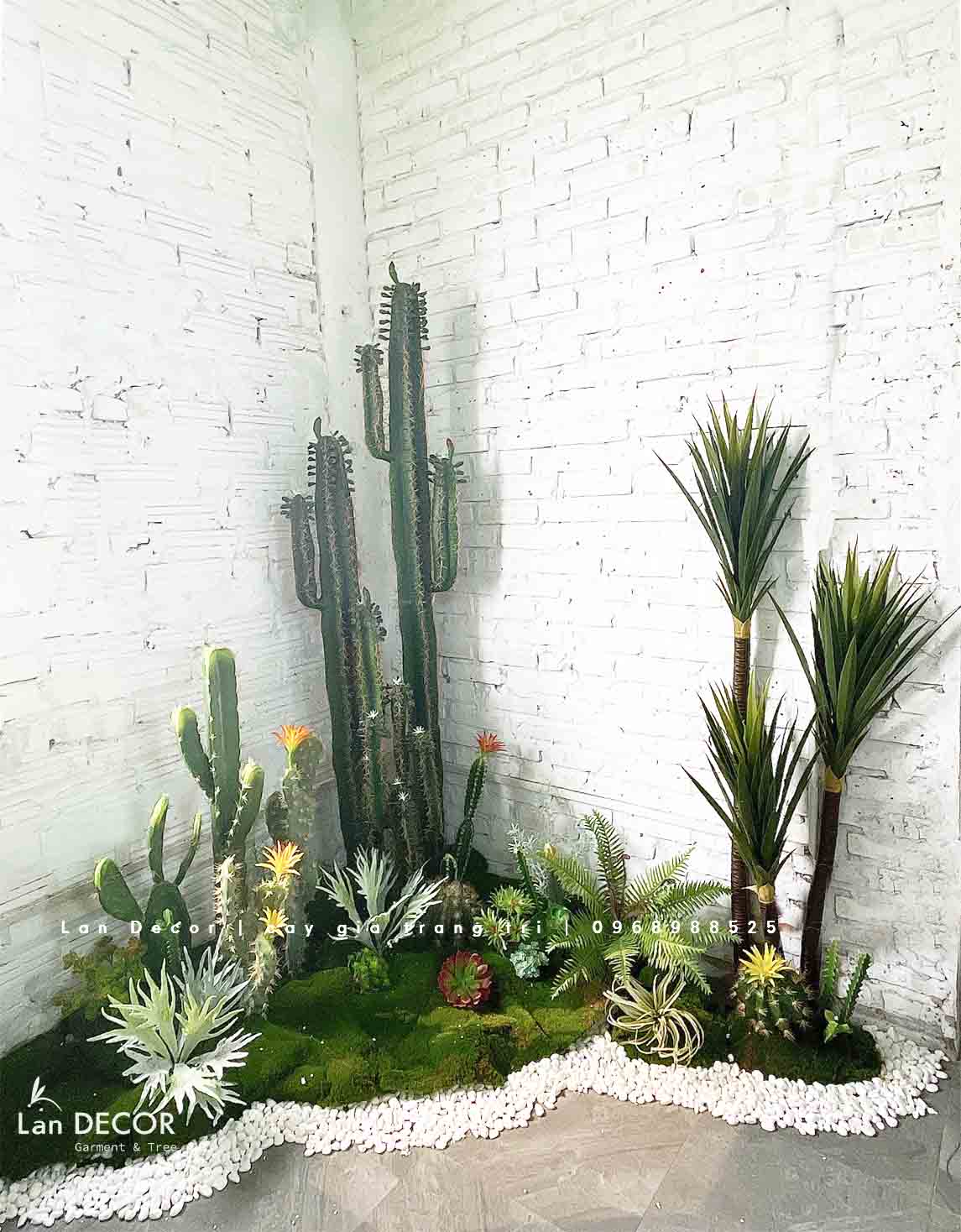 CONCEPT BỒN RÊU XƯƠNG RỒNG TRANG TRÍ TIỂU CẢNH MẪU MỚI LAN DECOR