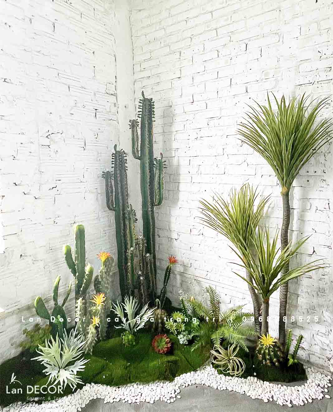 CONCEPT BỒN RÊU XƯƠNG RỒNG TRANG TRÍ TIỂU CẢNH MẪU MỚI LAN DECOR