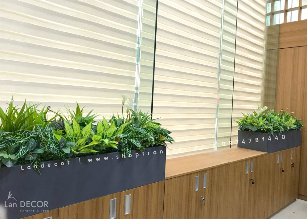 TRANG TRÍ BỒN CÂY VĂN PHÒNG NGOẠI THƯƠNG- BC134