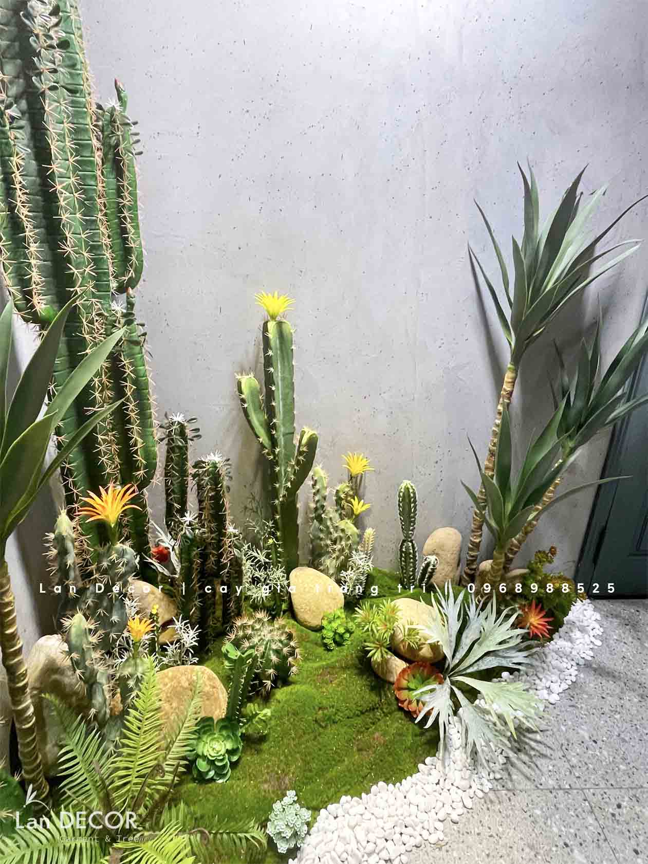 CÔNG TRÌNH BỒN RÊU XƯƠNG RỒNG VŨ TRỌNG PHỤNG- CT314