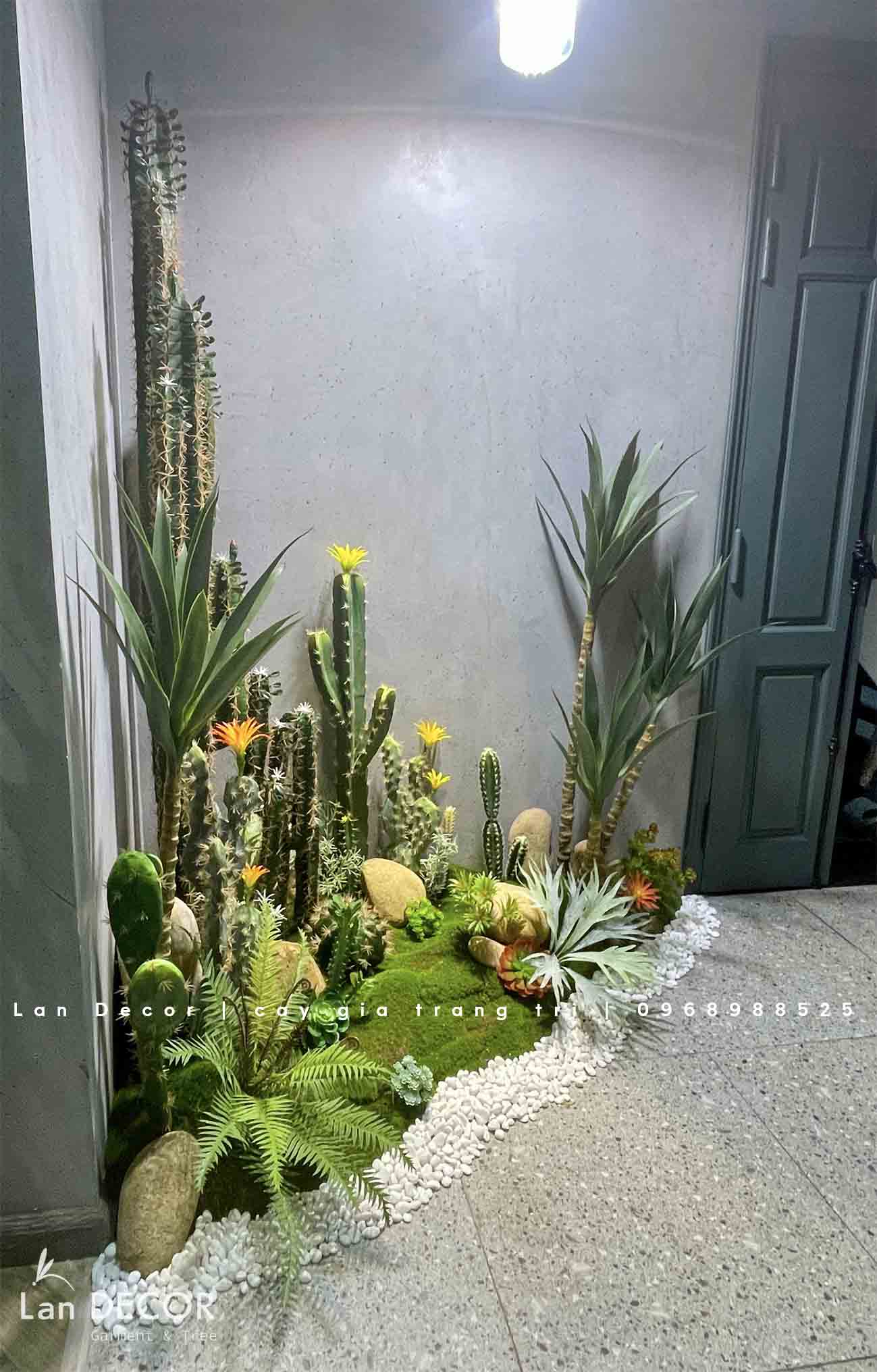 CÔNG TRÌNH BỒN RÊU XƯƠNG RỒNG VŨ TRỌNG PHỤNG- CT314