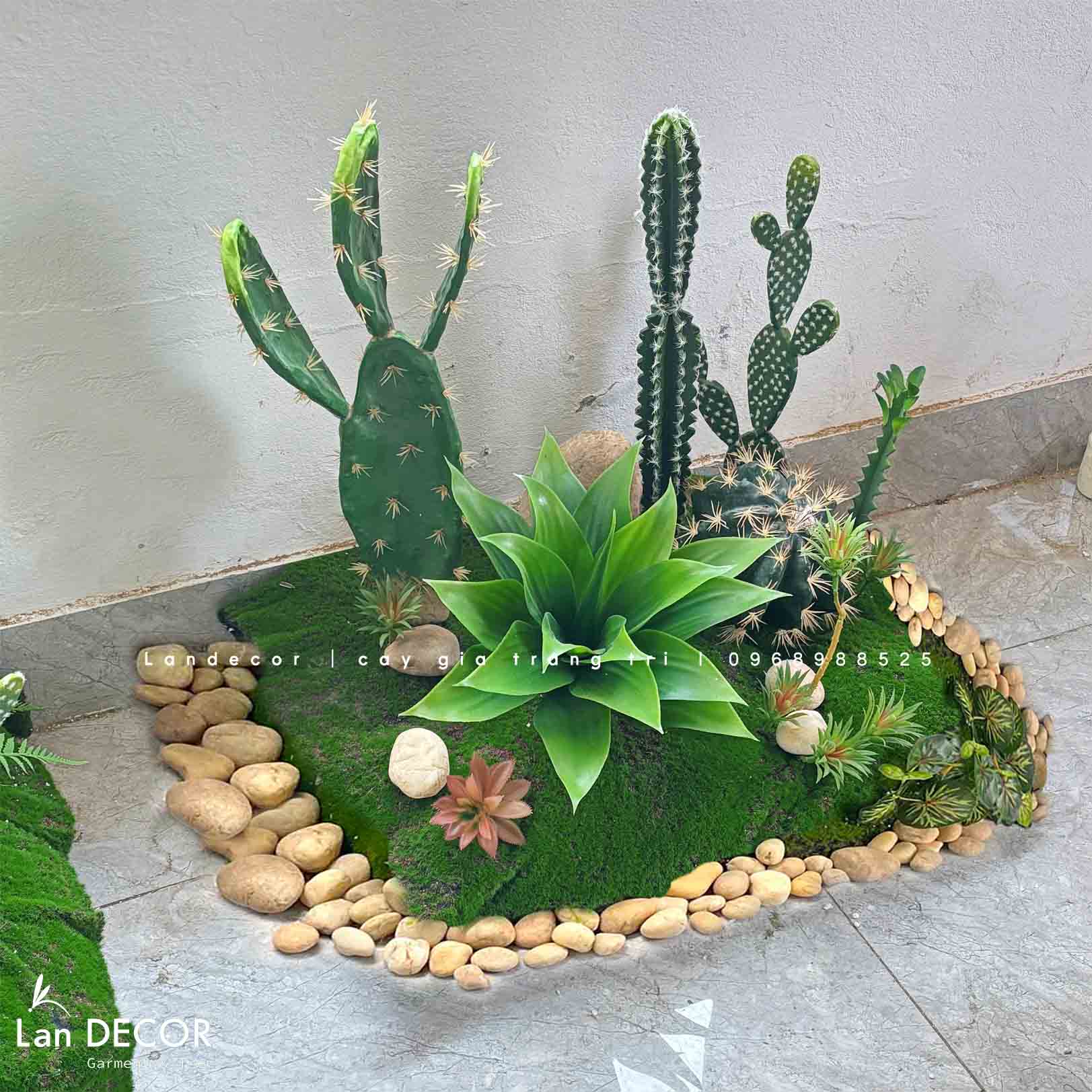 Bồn Rêu Tiểu Cảnh- Bồn Xương Rồng Thiết Kế Ấn Tượng