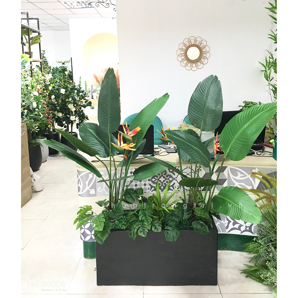 Bồn chuối thiên điểu trang trí nhà đẹp Landecor - CC431